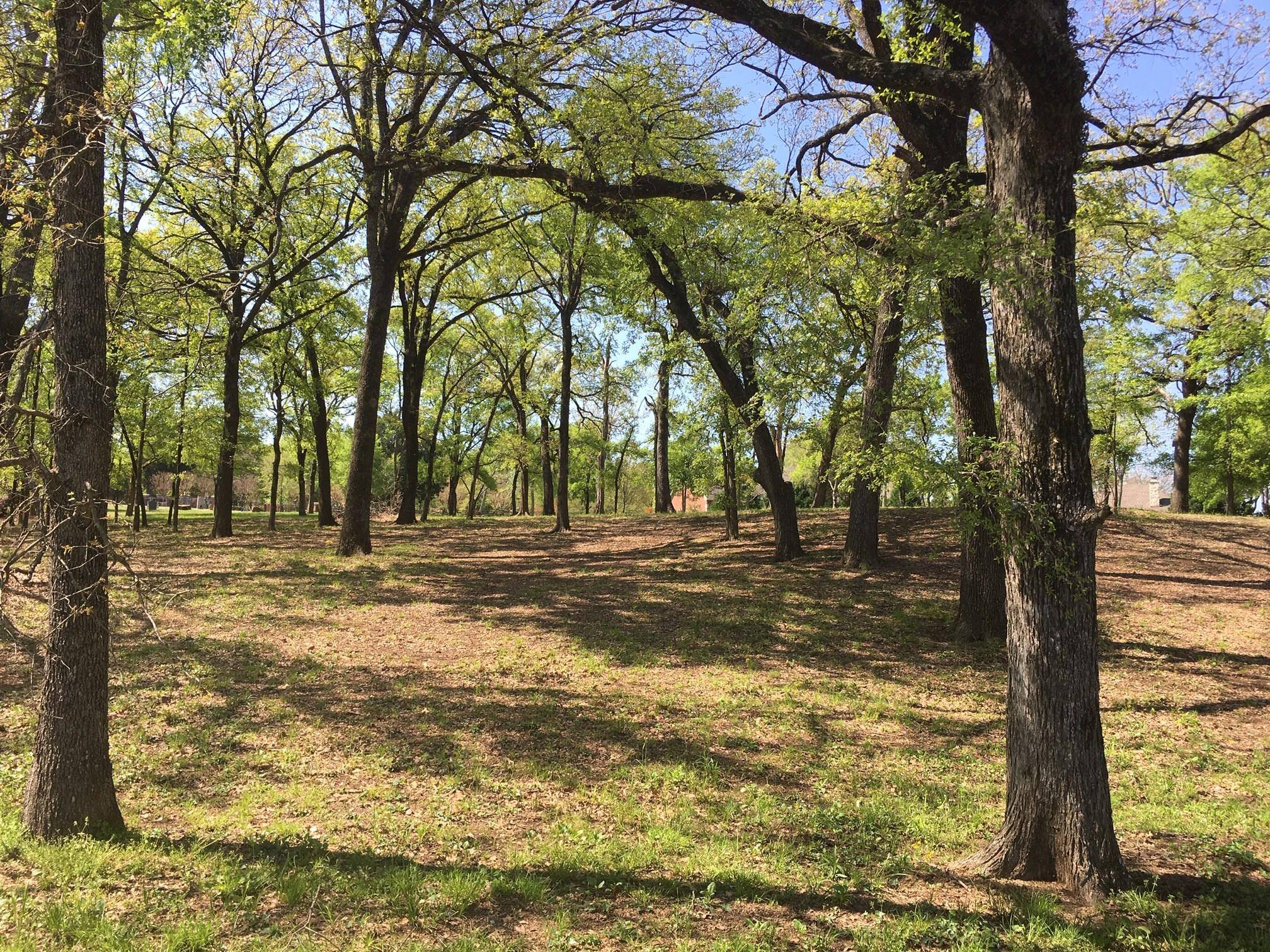 Streetman, TX 75859,Lot 88 Lookout Mountain