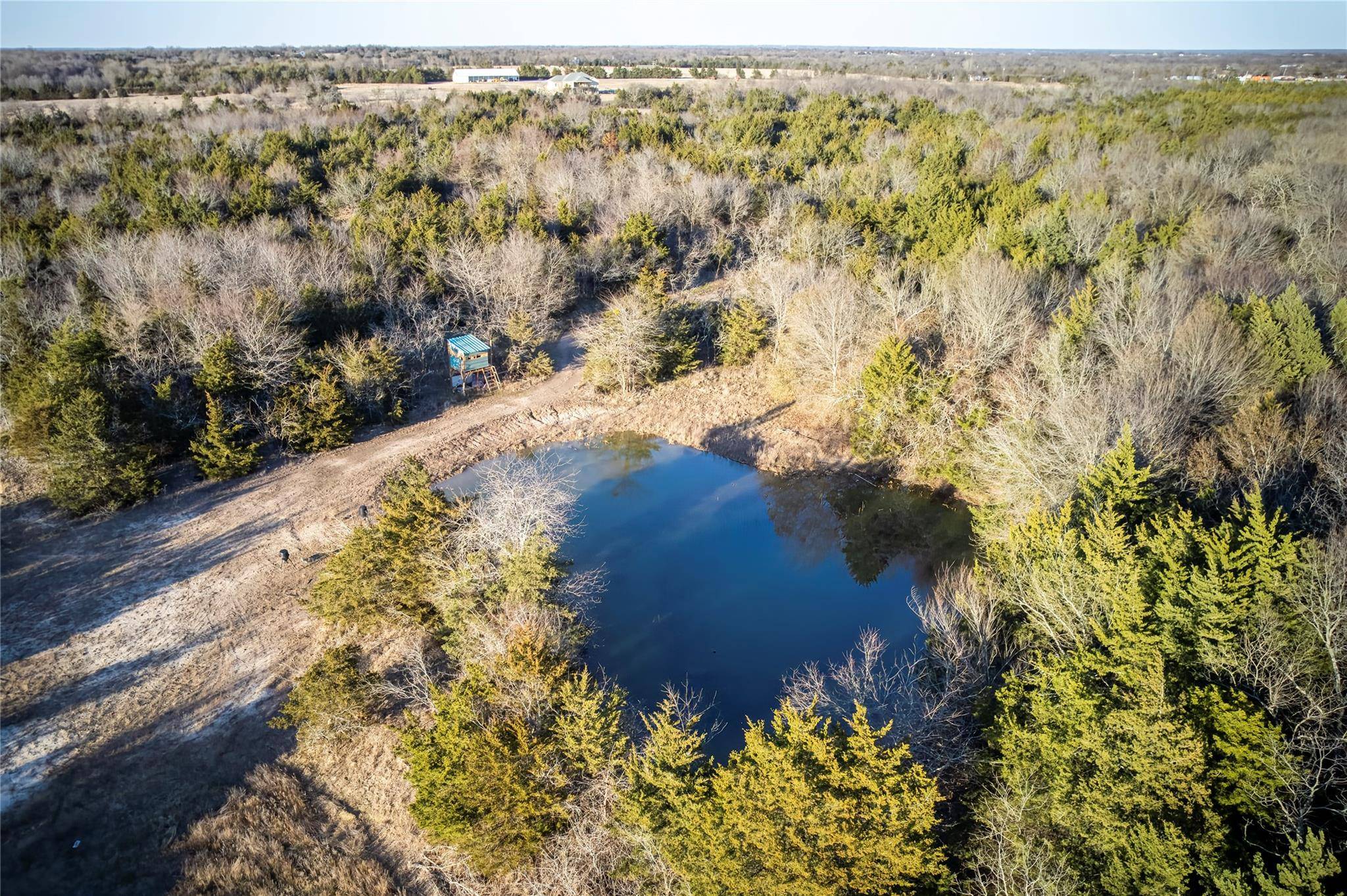 Celeste, TX 75423,104 Acres W FM 1566