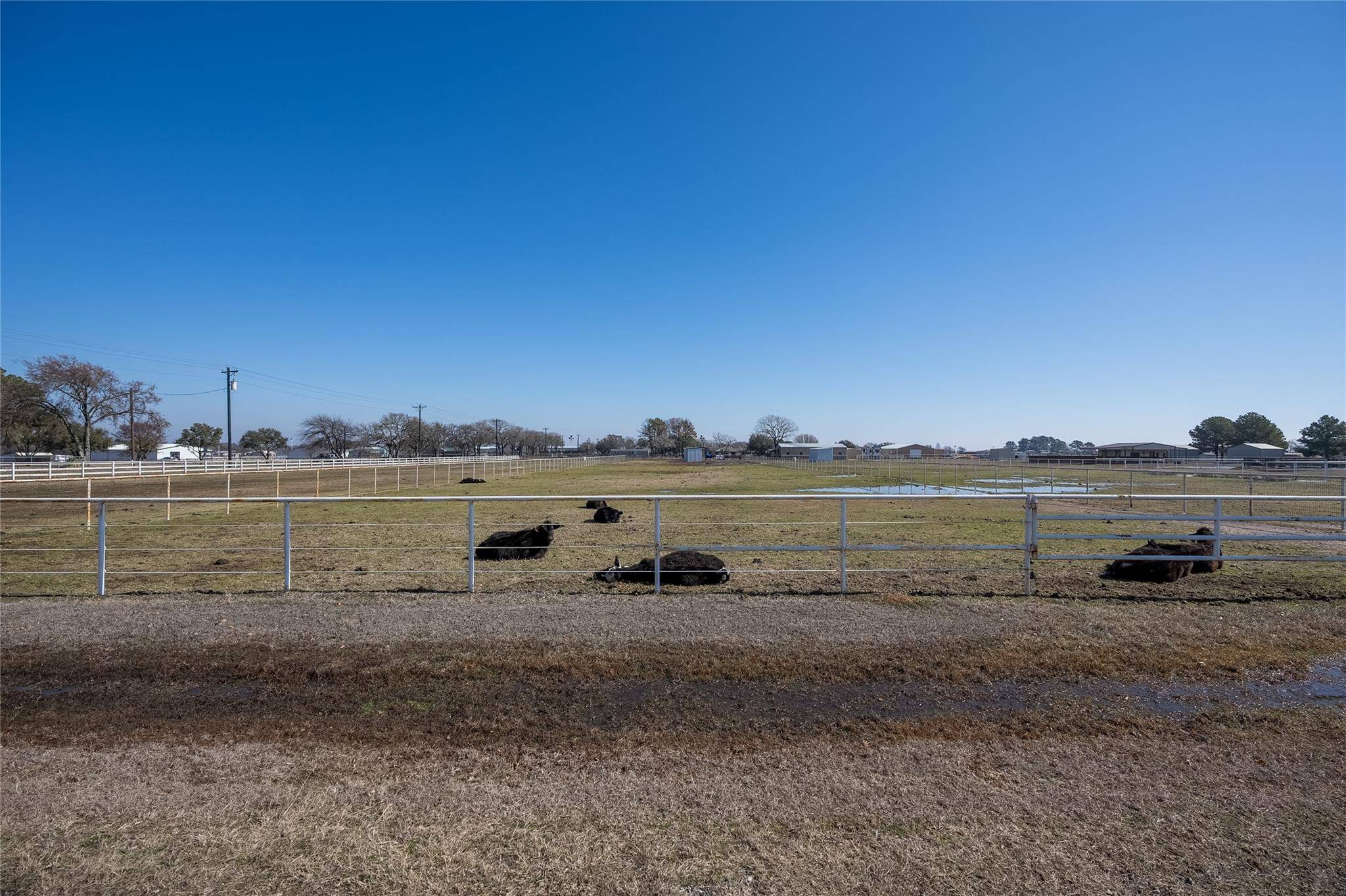 Pilot Point, TX 76258,Lot 2 Osburn Road