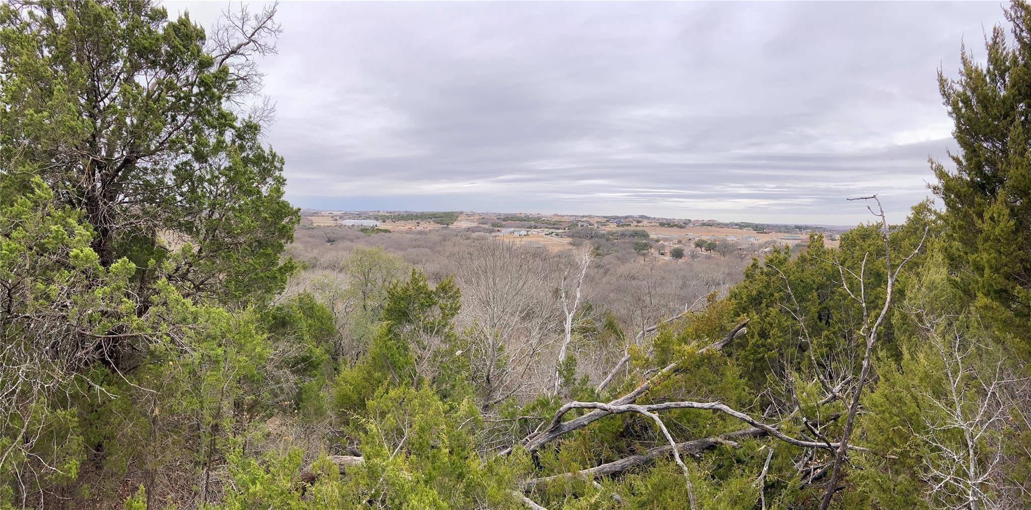 Cresson, TX 76035,TBD Overlook Court