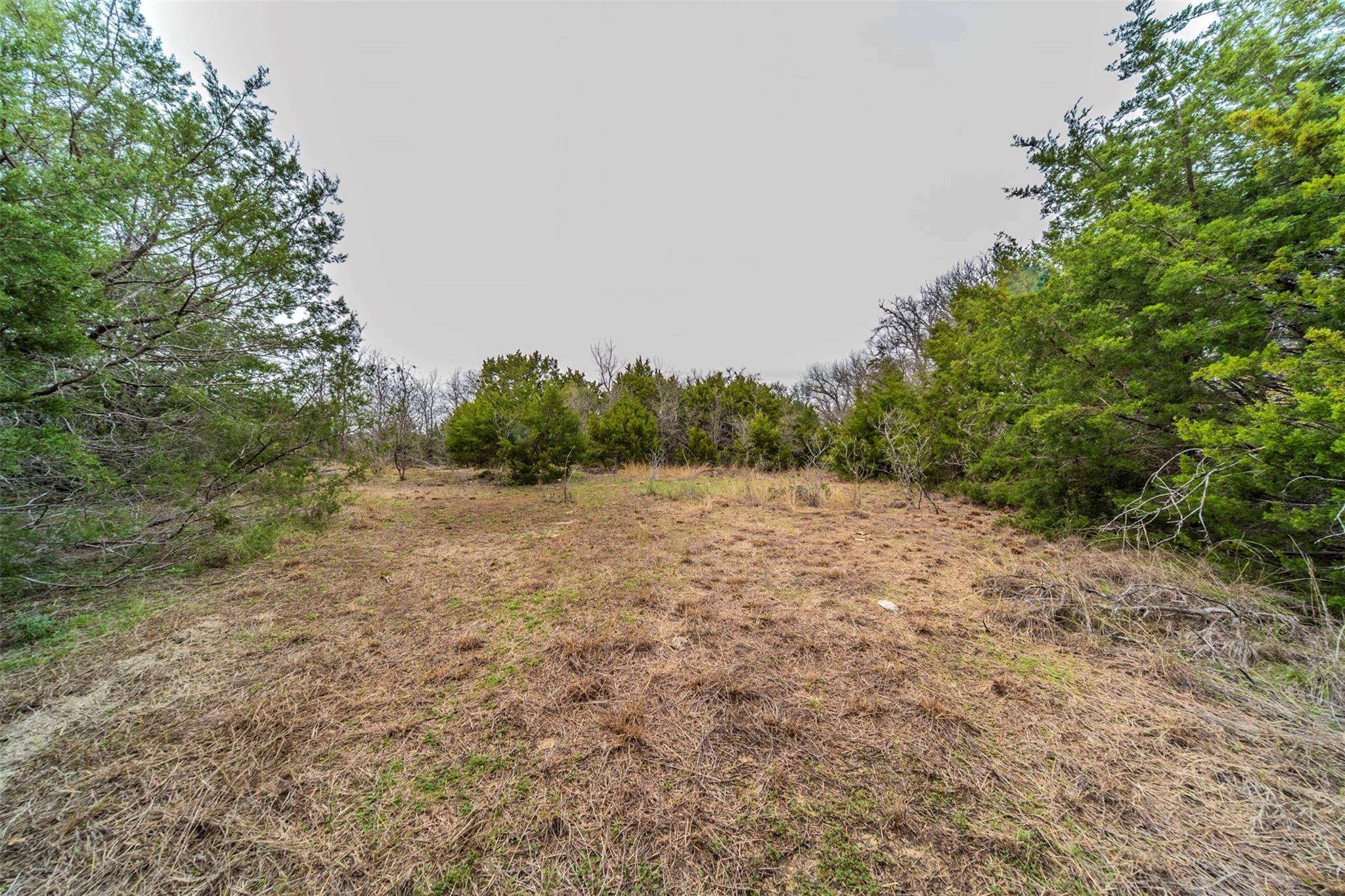 Cresson, TX 76035,TBD Overlook Court