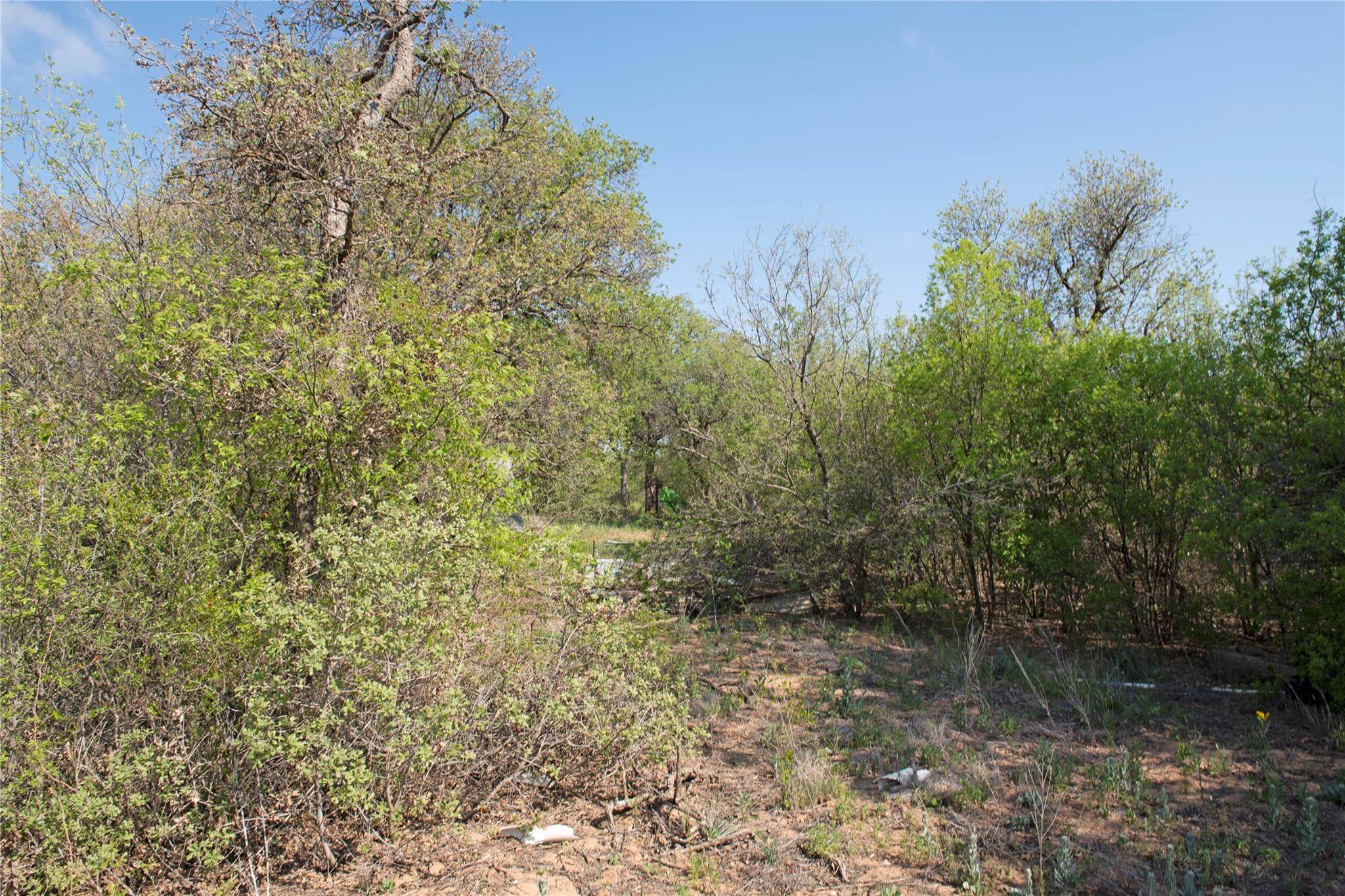 Anson, TX 79501,8502 CR 358