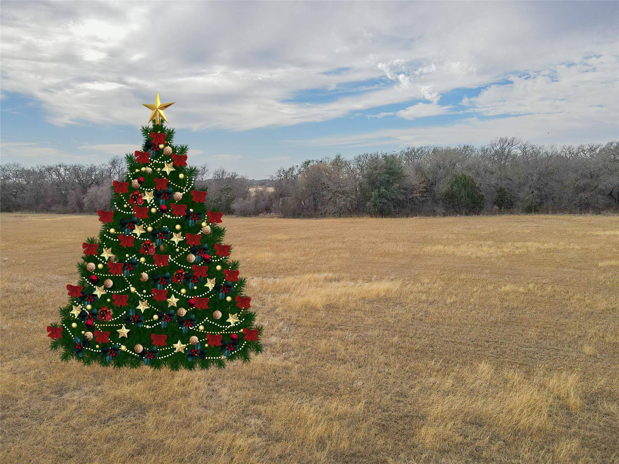 Whitney, TX 76692,TBD Hcr 2105 Loop N