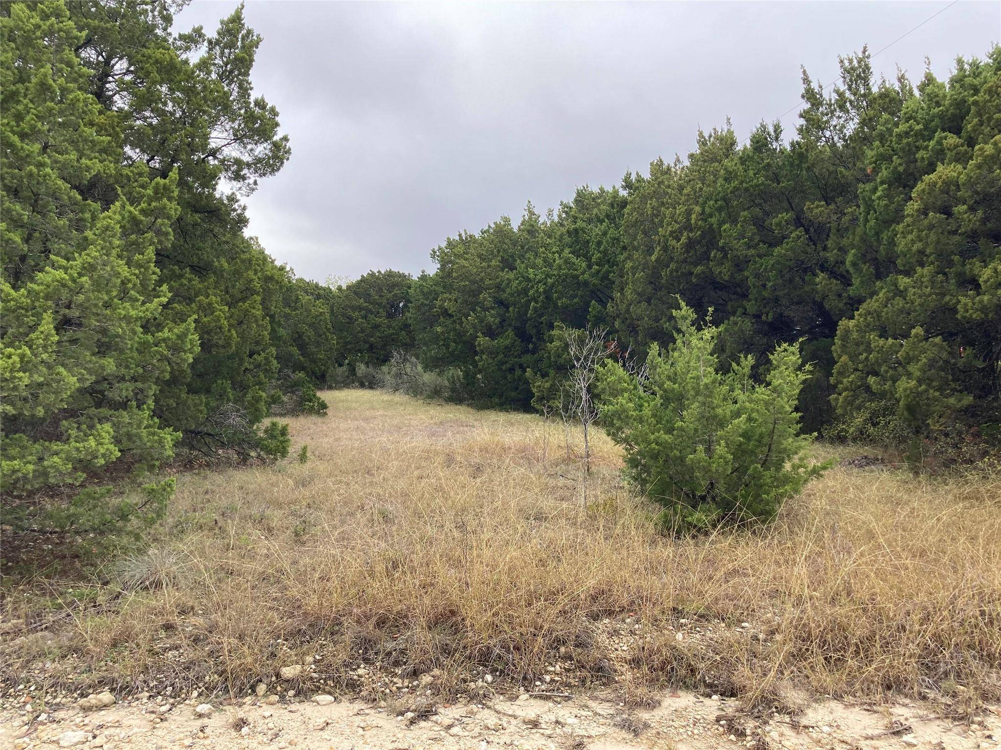 Whitney, TX 76692,TBD Appaloosa Trail & Janice Drive