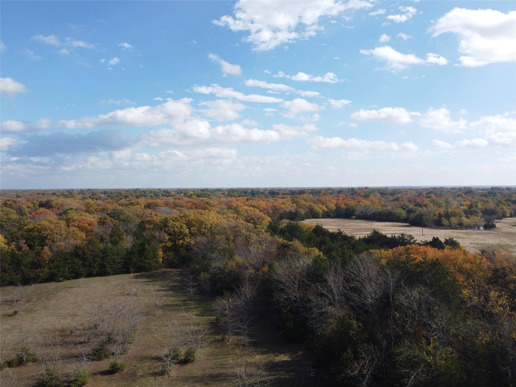 Campbell, TX 75422,2 ac County Rd 4122