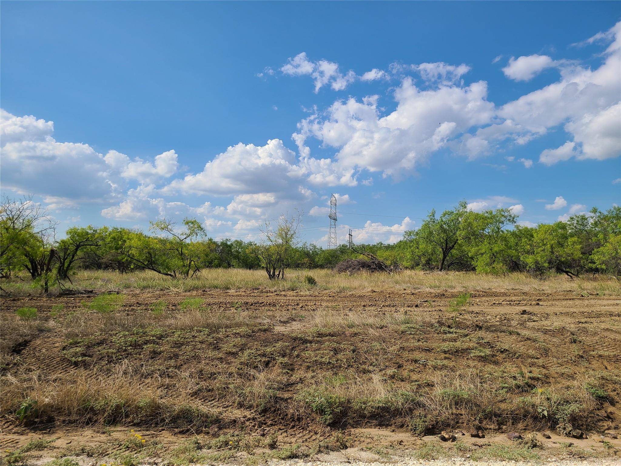 Joshua, TX 76058,1408 Saguaro Trail