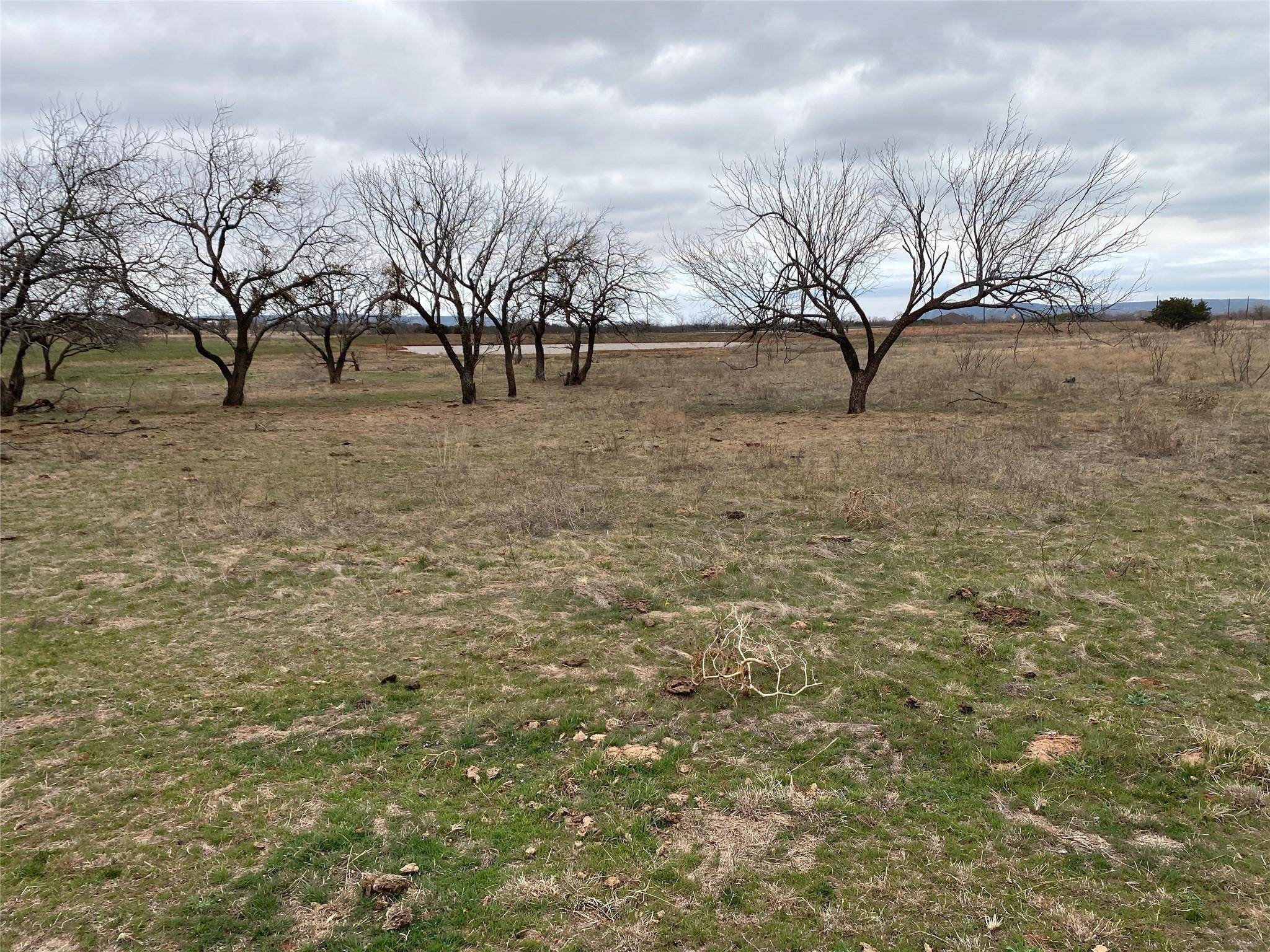 Tuscola, TX 79562,Lot 4 County Rd 131