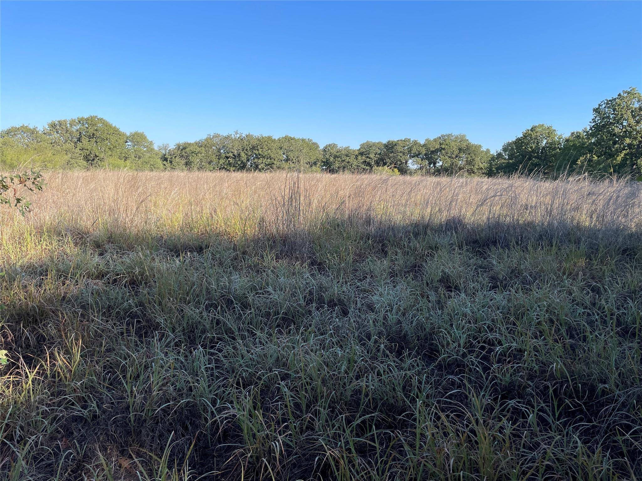 Rising Star, TX 76471,000 CO ROAD 252