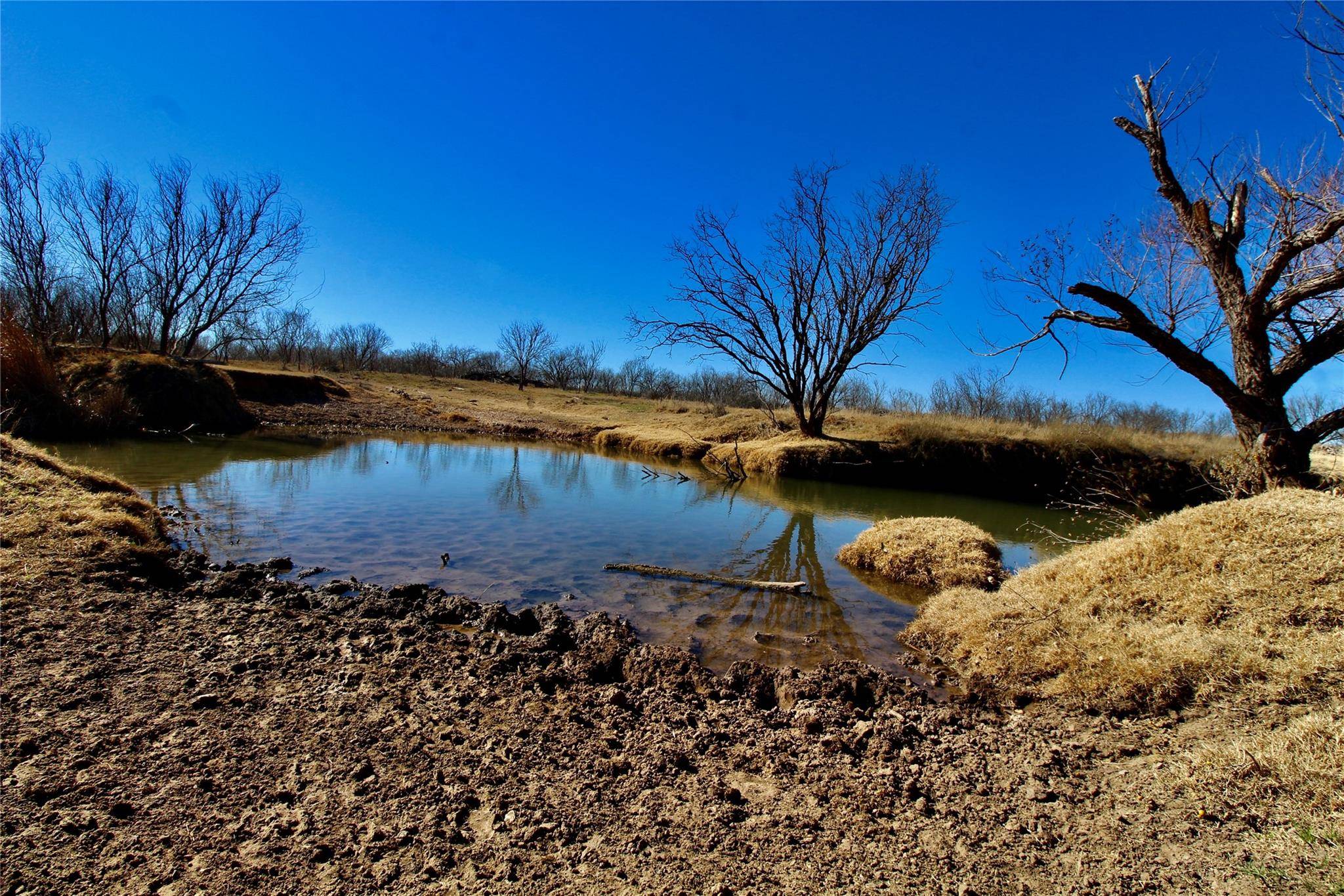 Haskell, TX 79521,TBD Jim Strain Rd.