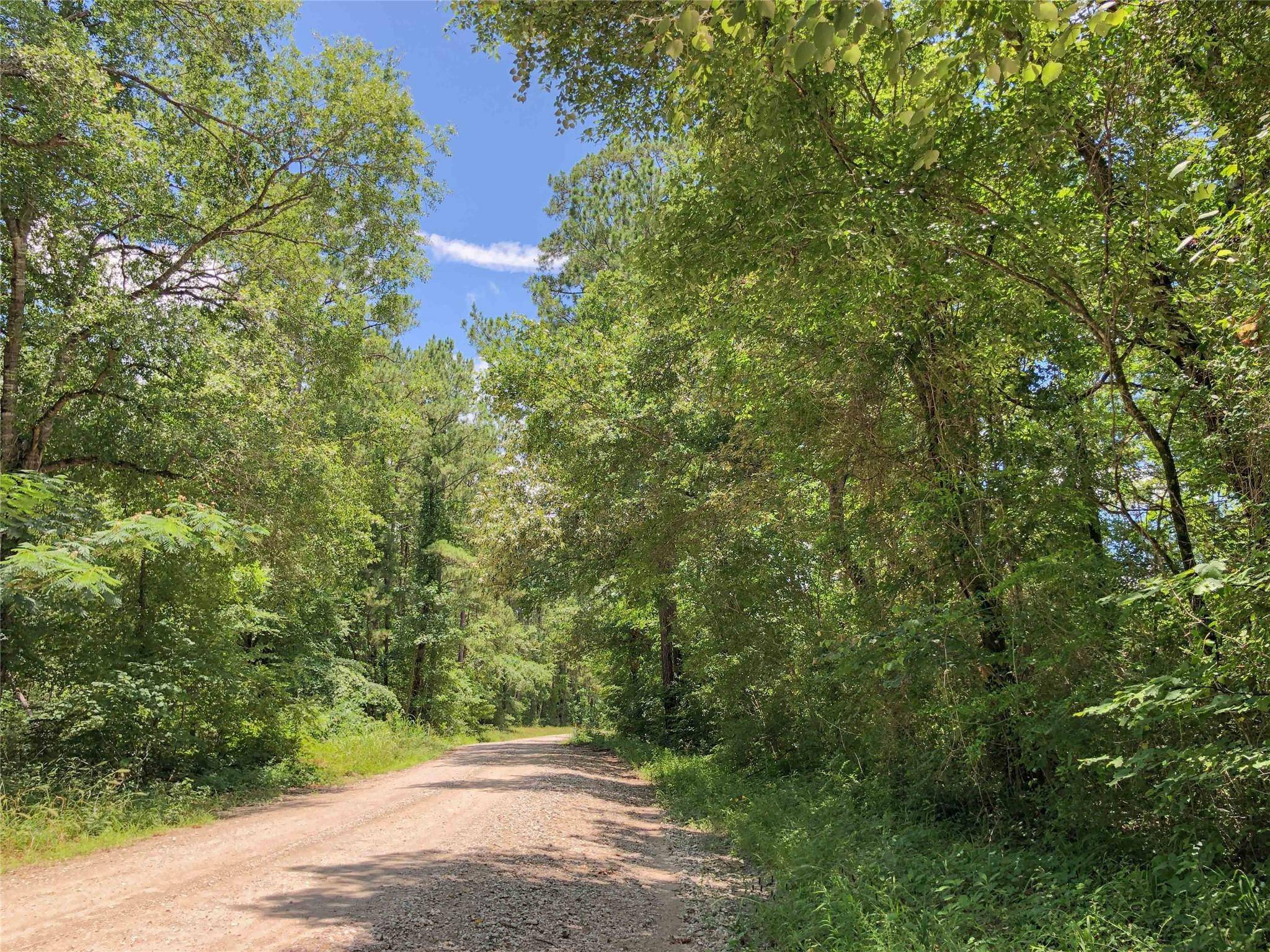 Huntsville, TX 77320,000 Rosenwall Road