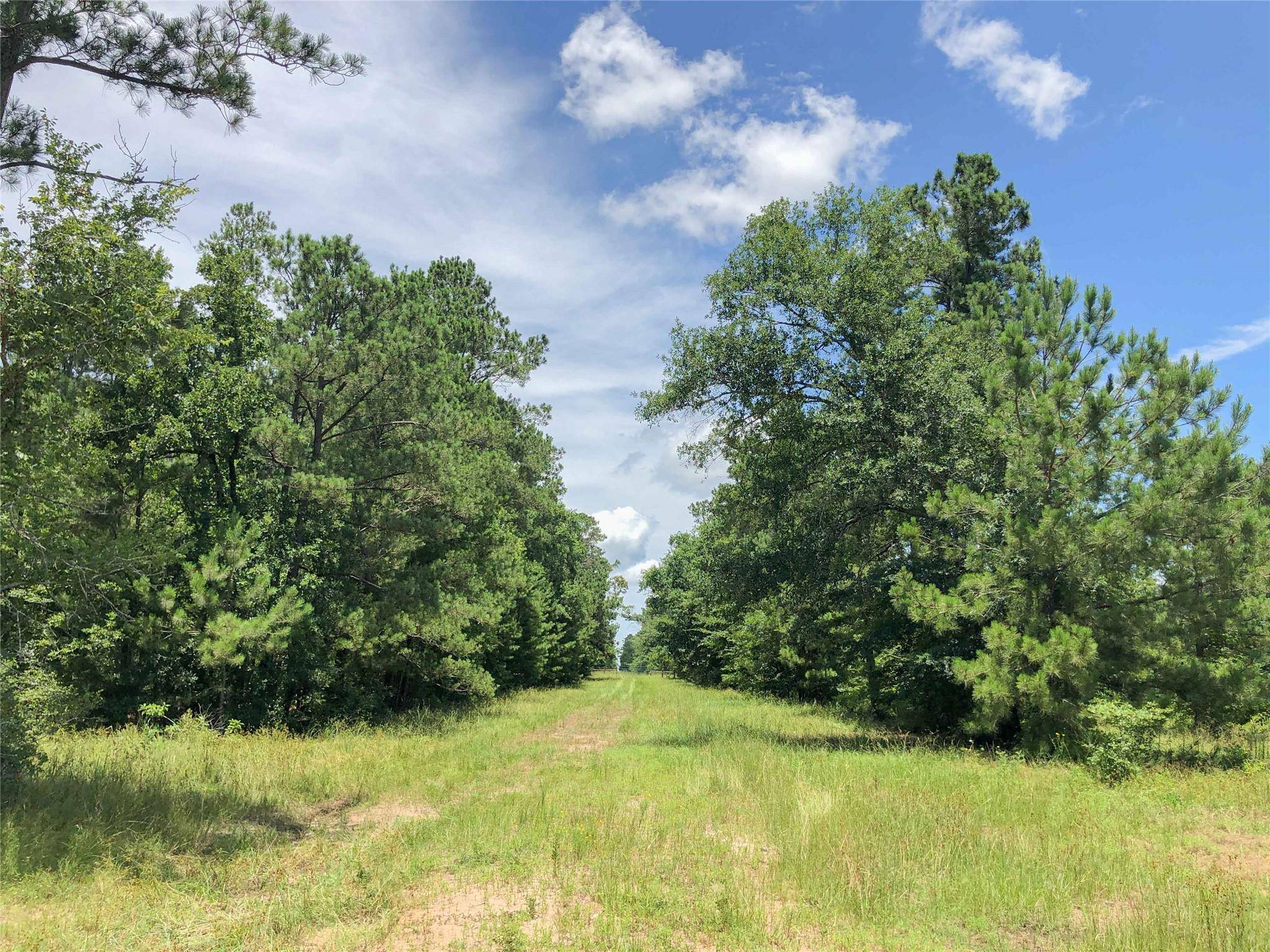 Huntsville, TX 77320,000 Rosenwall Road