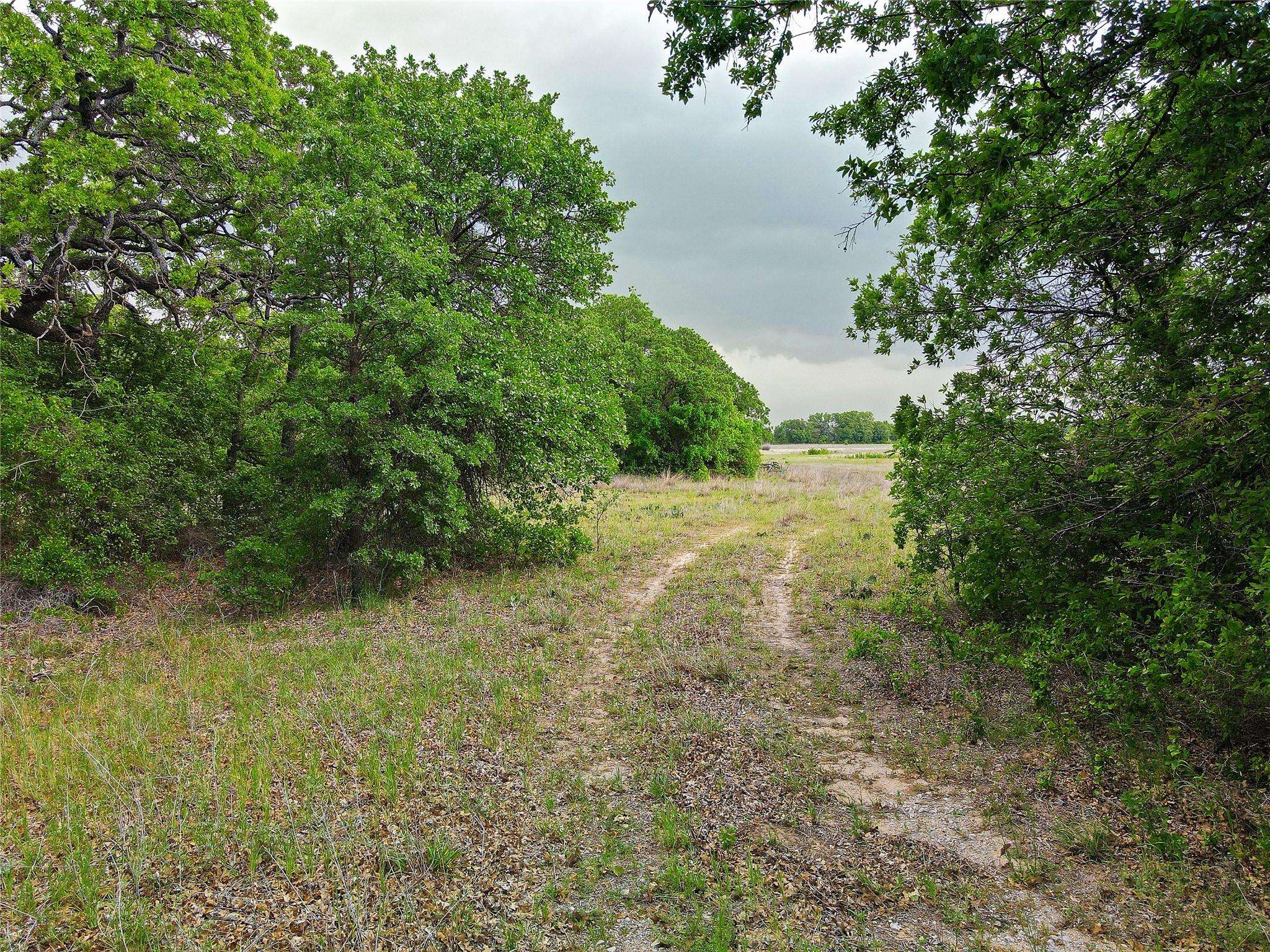 Cisco, TX 76437,80+- Acres Co Road 173