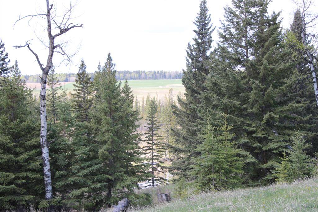 Rural Mountain View County, AB T0M1X0,Highway 22