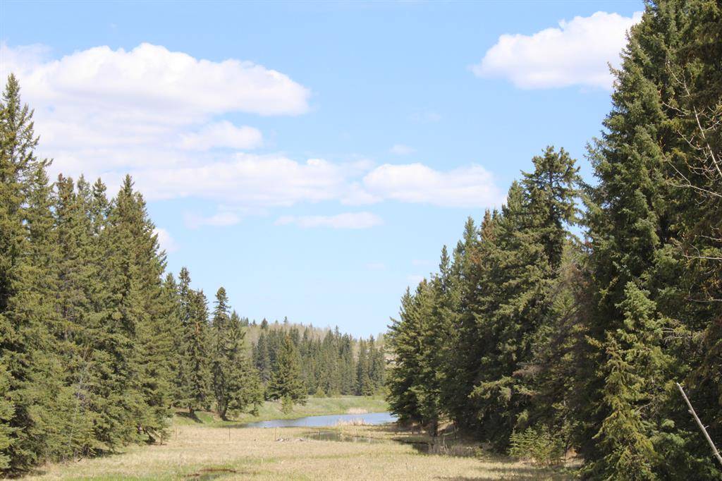 Rural Mountain View County, AB T0M1X0,Highway 22