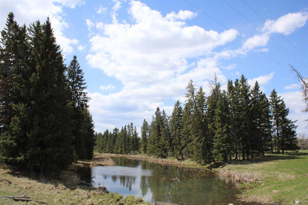 Rural Mountain View County, AB T0M1X0,Highway 22