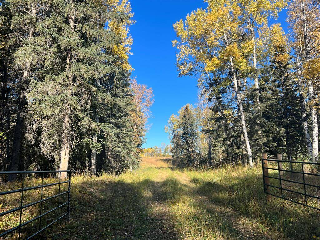 Rural Mountain View County, AB t0m 0r0,Range Road 55 North of township 302