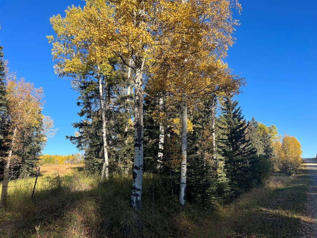 Rural Mountain View County, AB t0m 0r0,Range Road 55 North of township 302