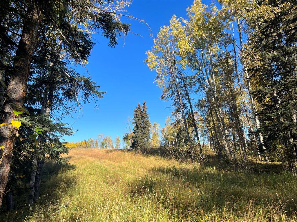 Rural Mountain View County, AB t0m 0r0,Range Road 55 North of township 302