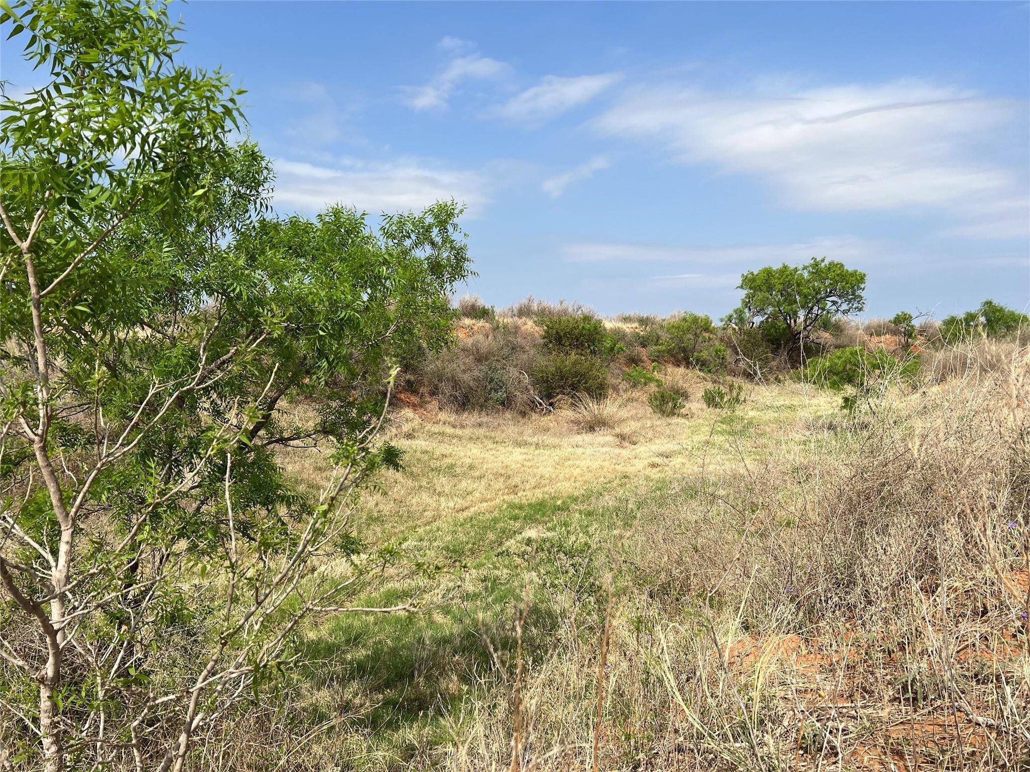 Bronte, TX 76933,TBD U.S. HWY 277