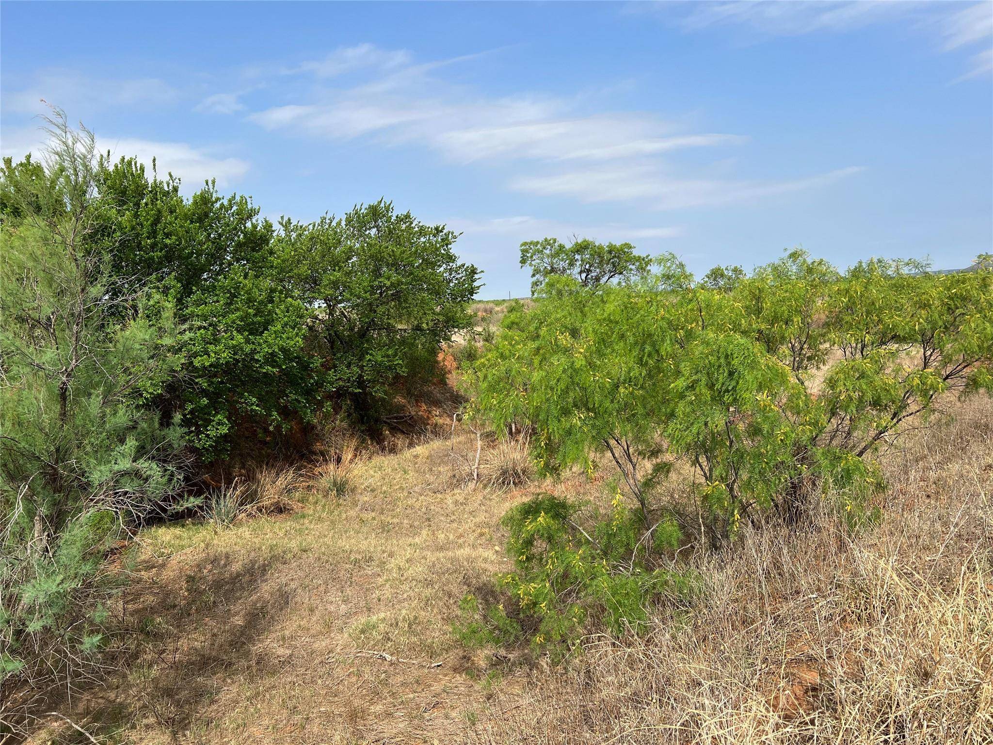 Bronte, TX 76933,TBD U.S. HWY 277