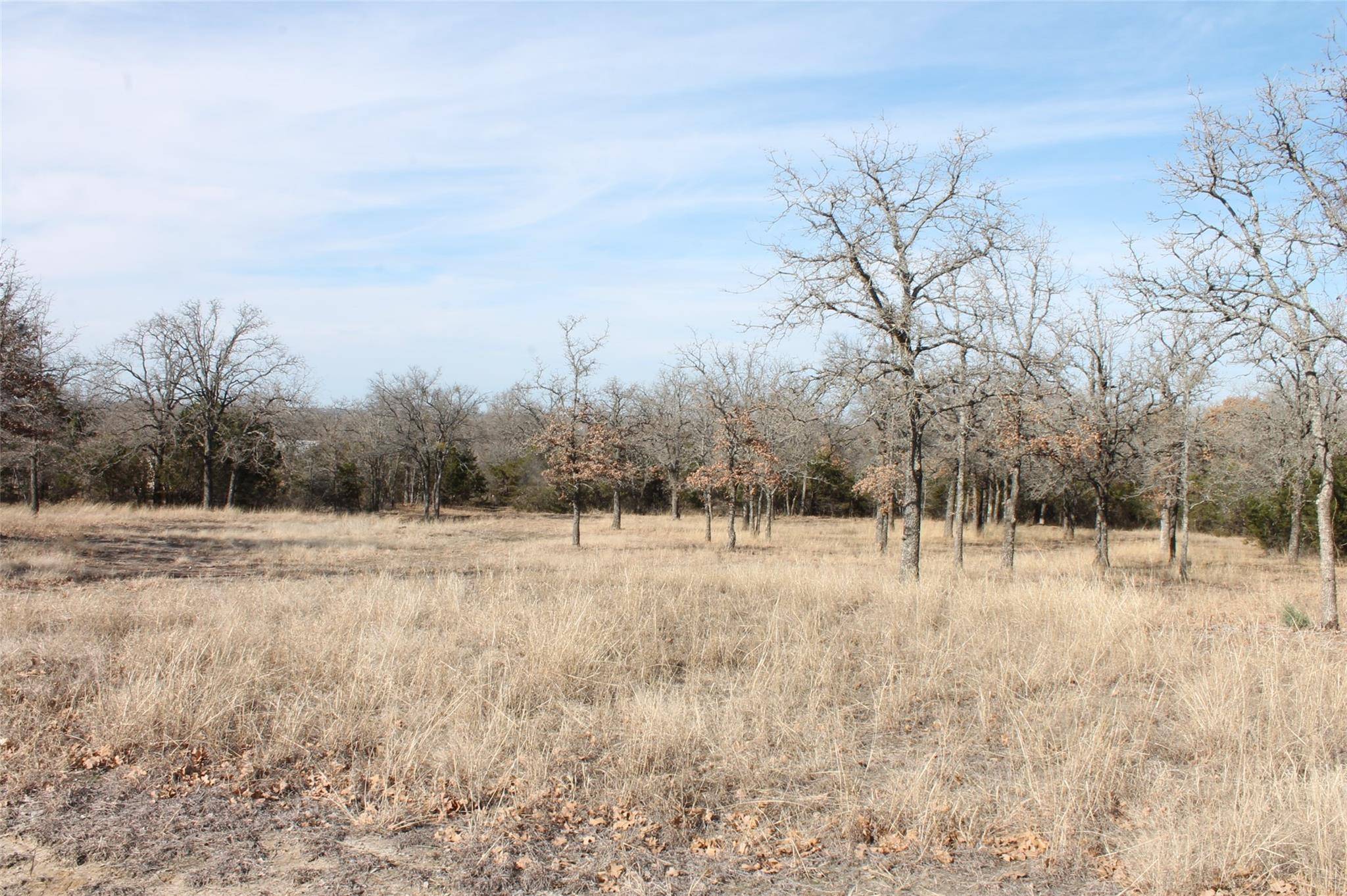 Glen Rose, TX 76043,Lot 54 Falcon Drive