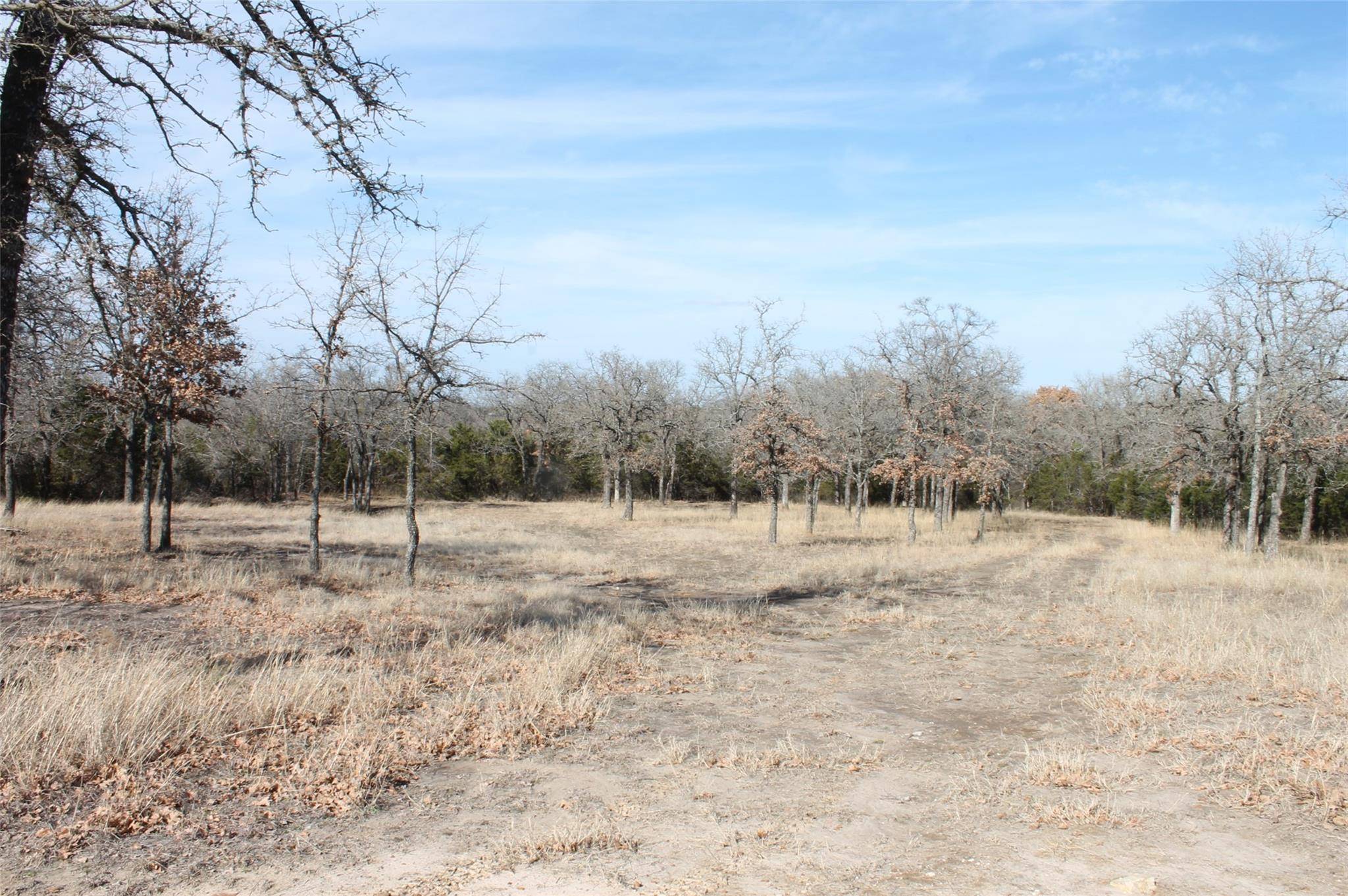 Glen Rose, TX 76043,Lot 54 Falcon Drive