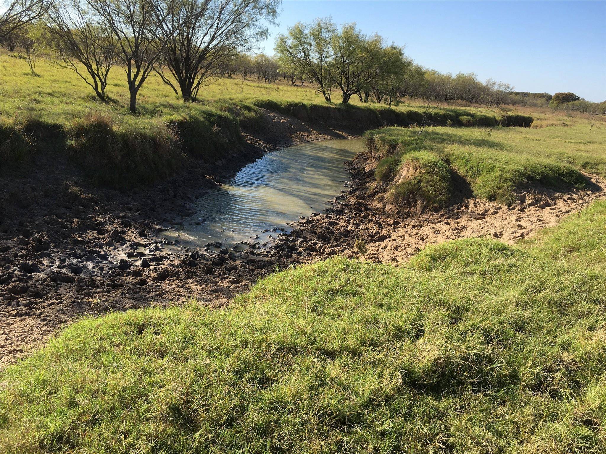 Rising Star, TX 76471,66 +/- ac County Road 428