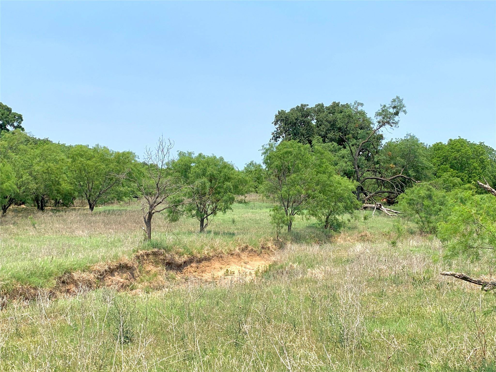 Rising Star, TX 76471,66 +/- ac County Road 428