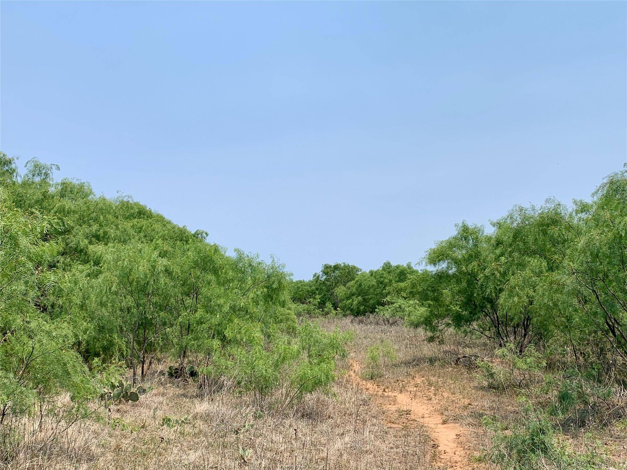 Rising Star, TX 76471,66 +/- ac County Road 428