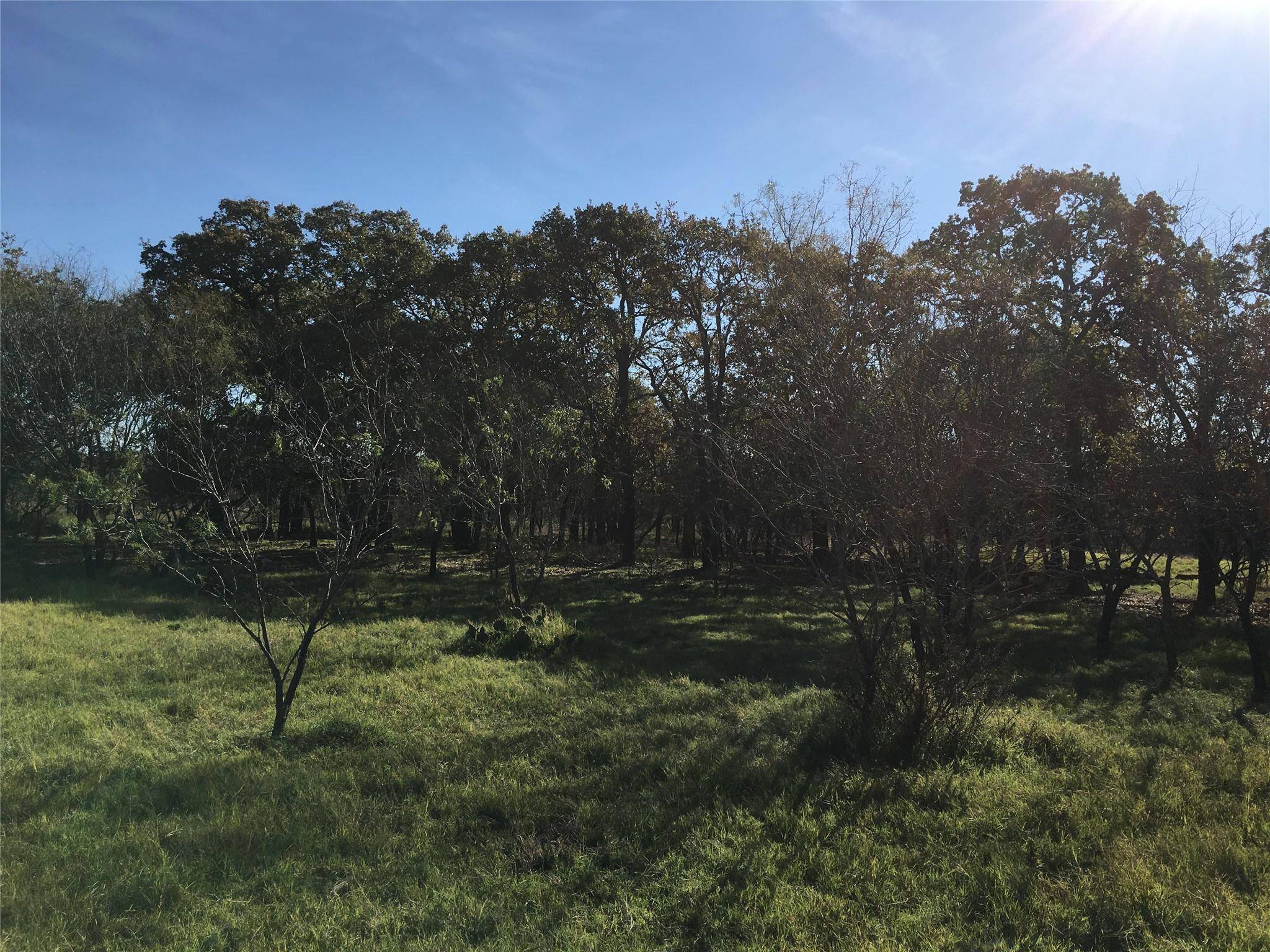 Rising Star, TX 76471,66 +/- ac County Road 428