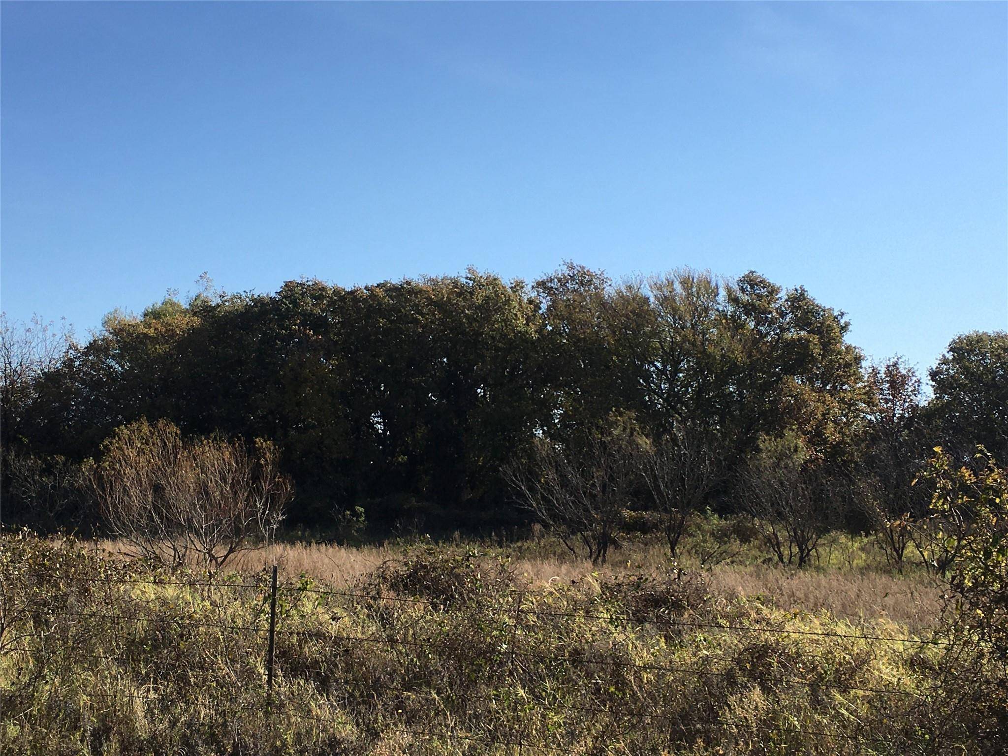 Rising Star, TX 76471,66 +/- ac County Road 428