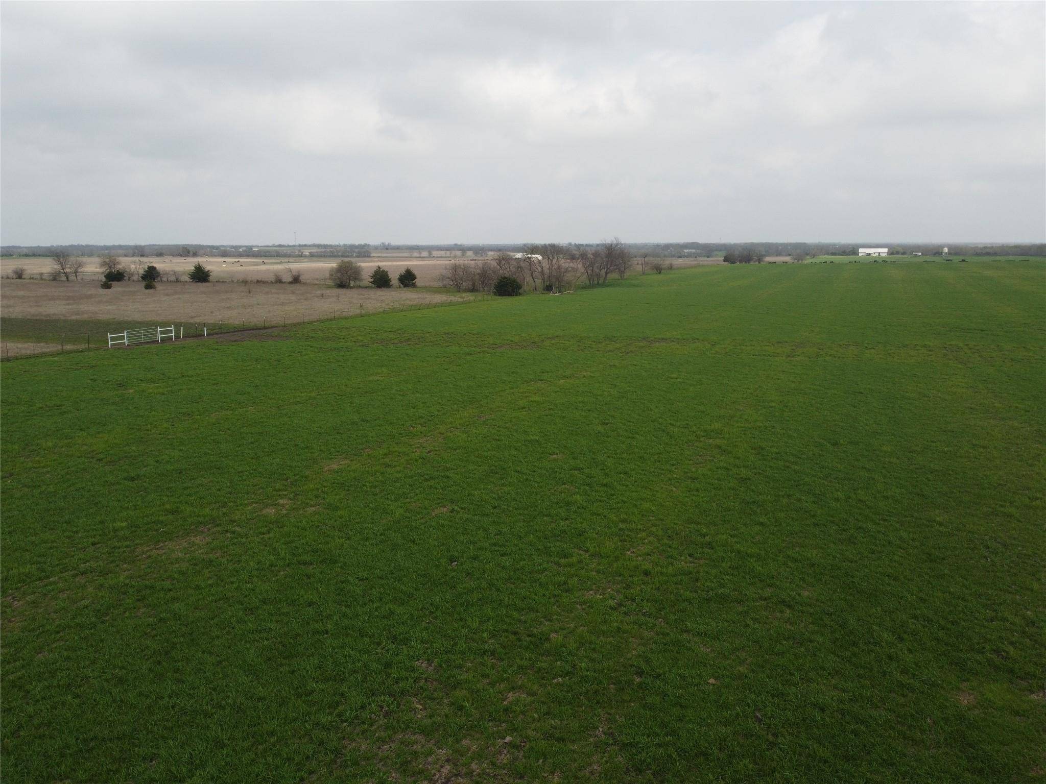 Celeste, TX 75423,12.5 ac County Rd 1094