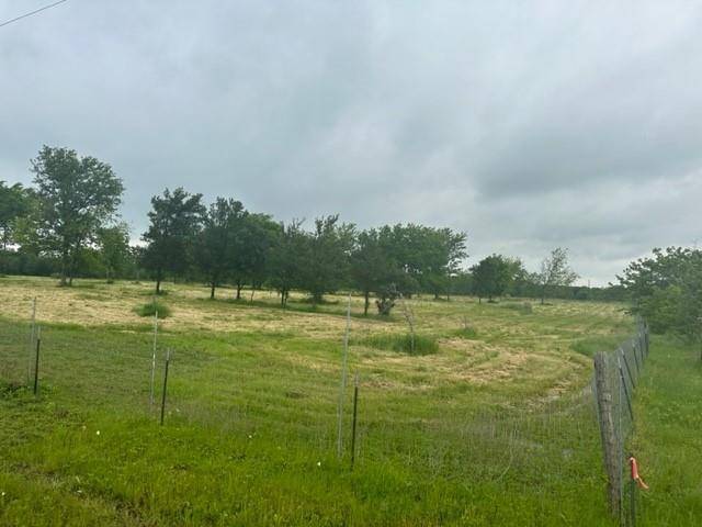 Wortham, TX 76693,TBD Lot D SW County Road 2385