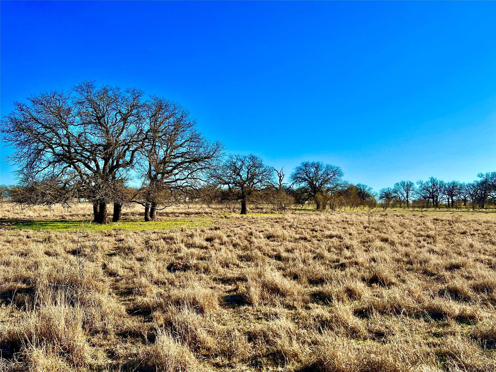 Henrietta, TX 76365,Tract D W Pleasant Valley Road