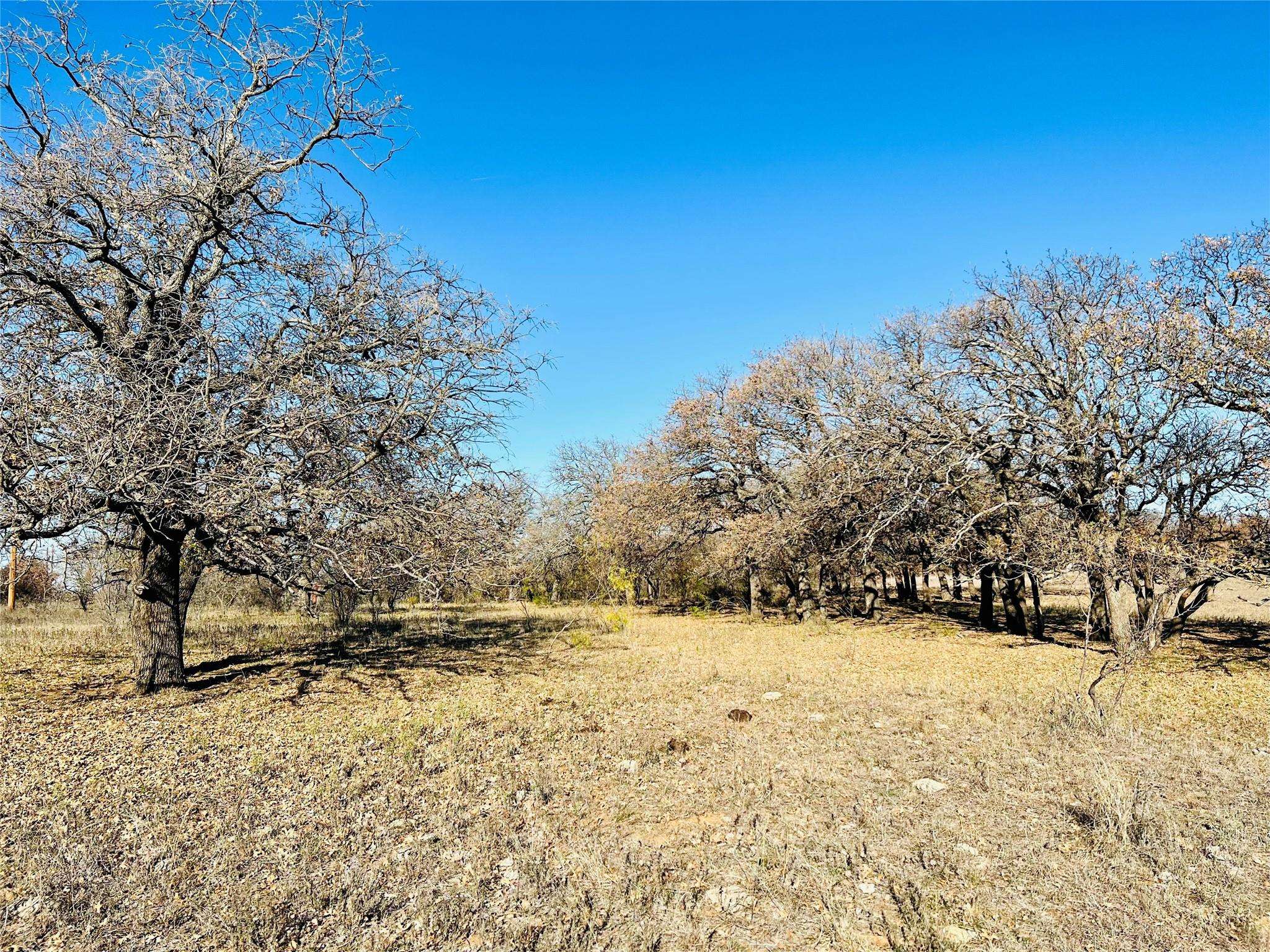 Henrietta, TX 76365,Tract D W Pleasant Valley Road