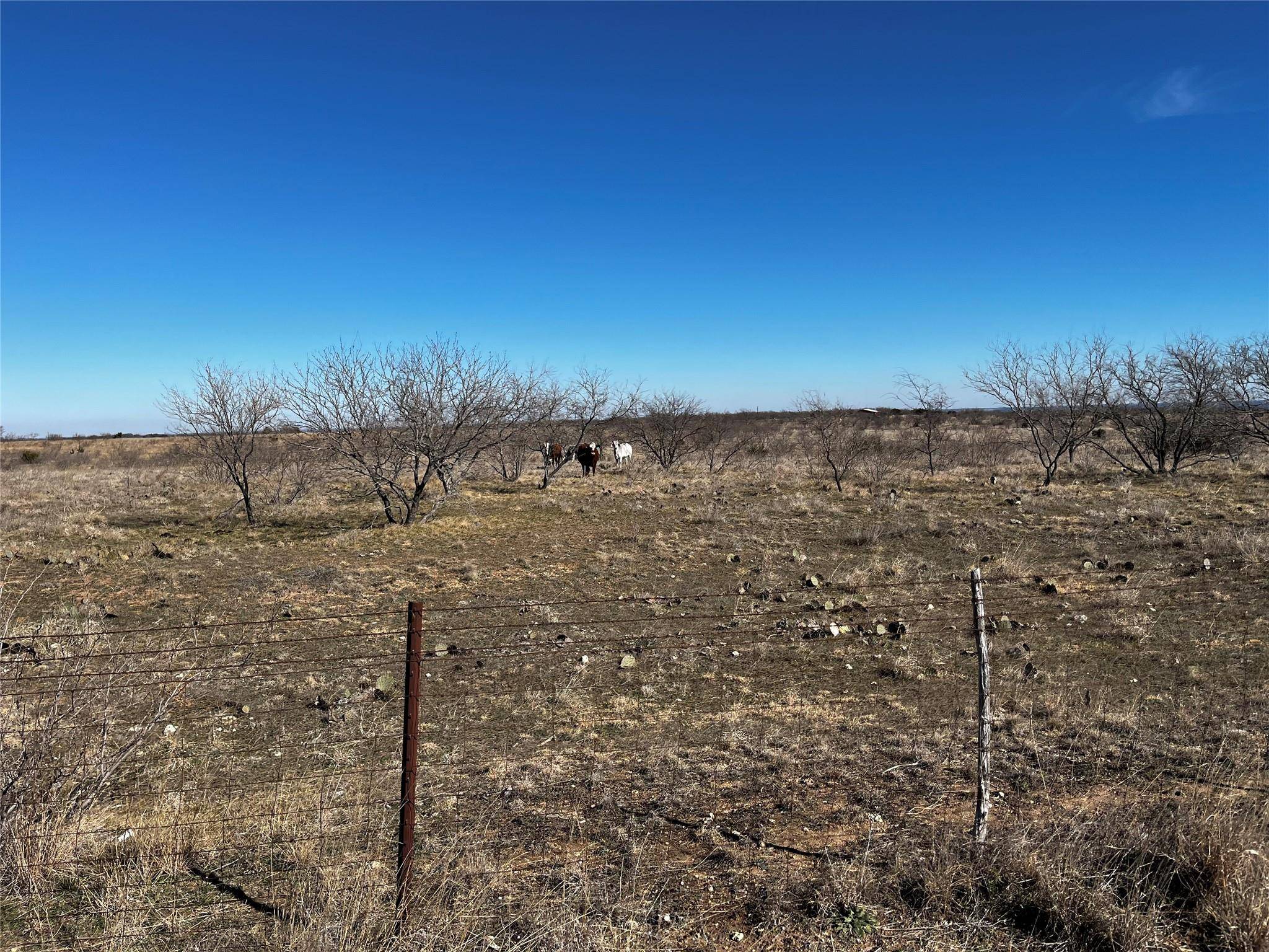 Hamilton, TX 76531,TBD CR 610