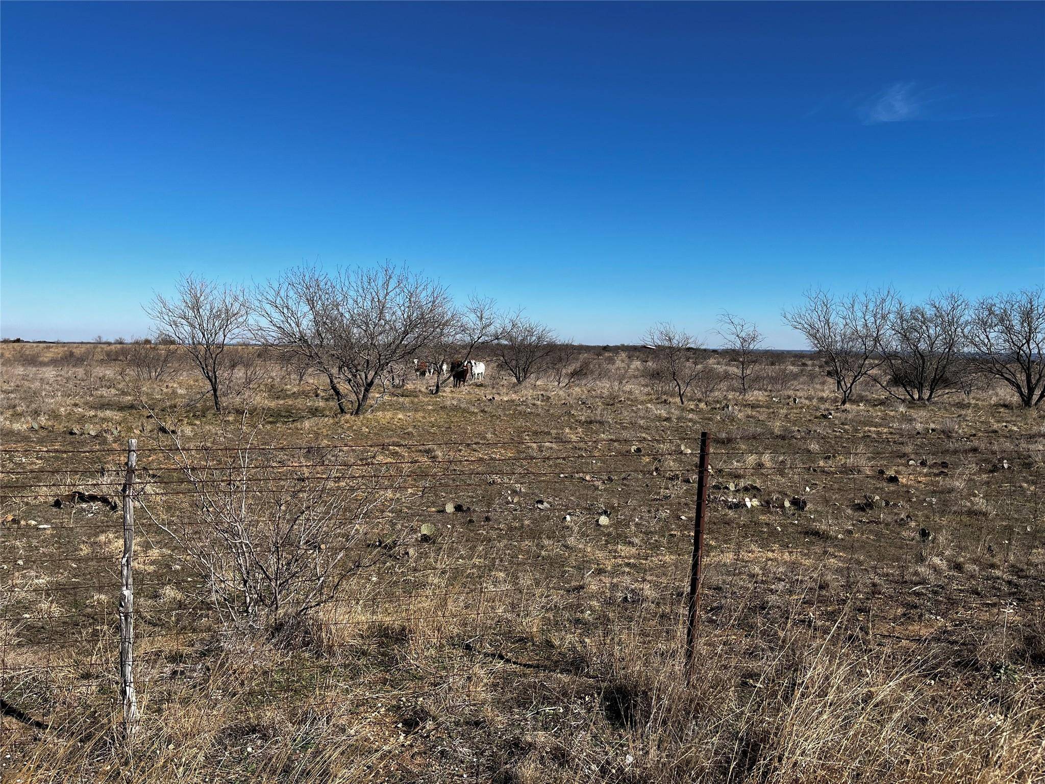 Hamilton, TX 76531,TBD CR 610