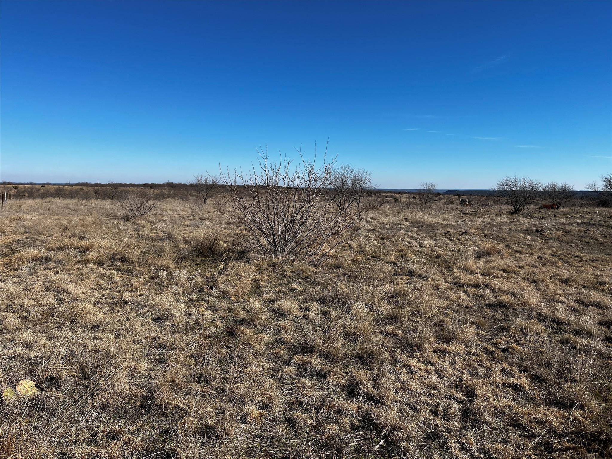 Hamilton, TX 76531,TBD CR 610