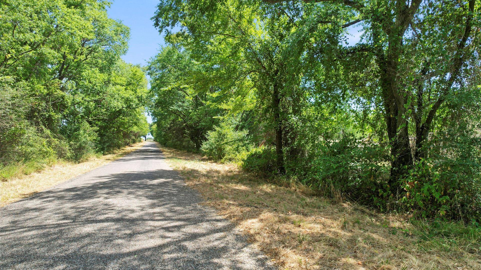 Mount Vernon, TX 75457,TBD County Road 1013