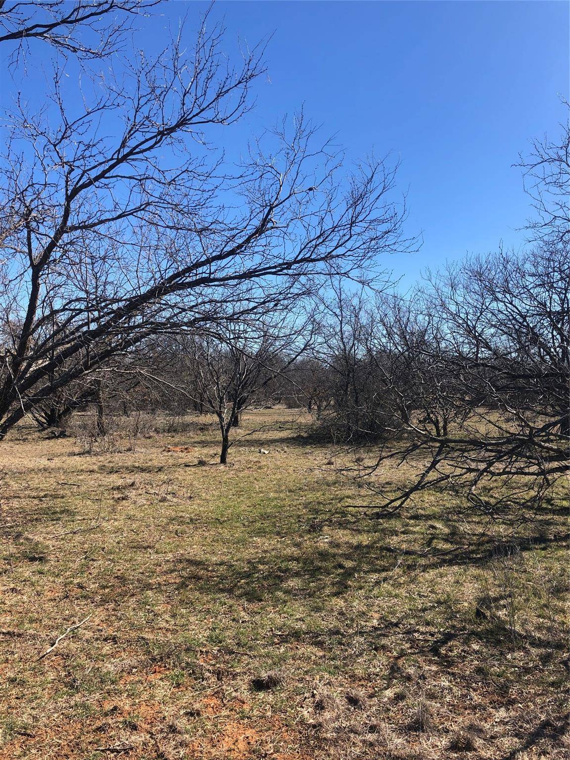 Rising Star, TX 76471,TBD County Road 290