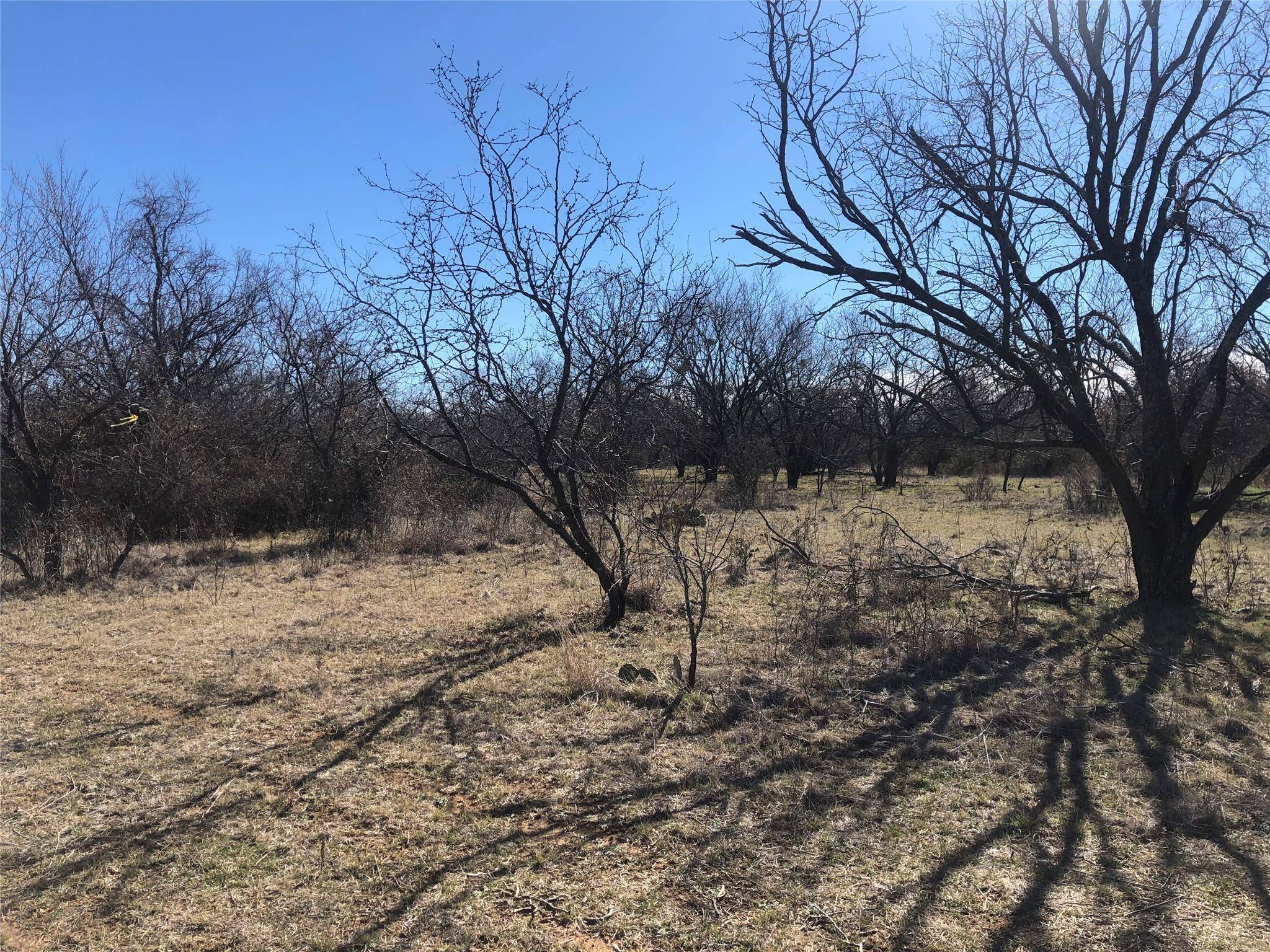 Rising Star, TX 76471,TBD County Road 290