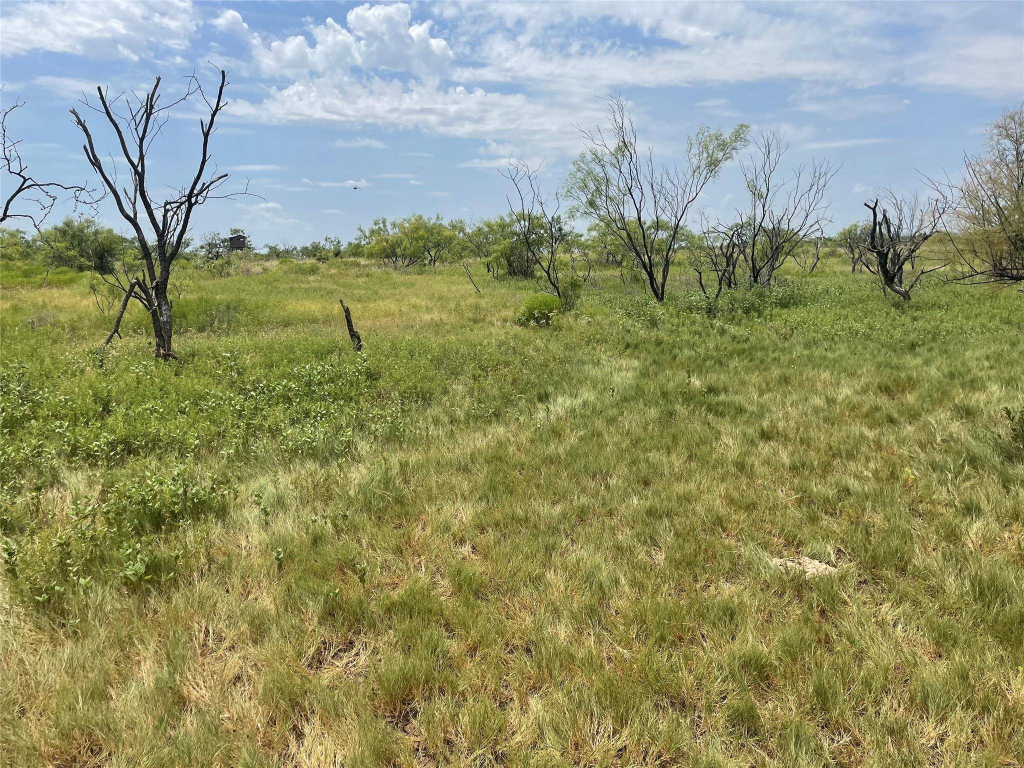 Anson, TX 79501,TBD CR 191