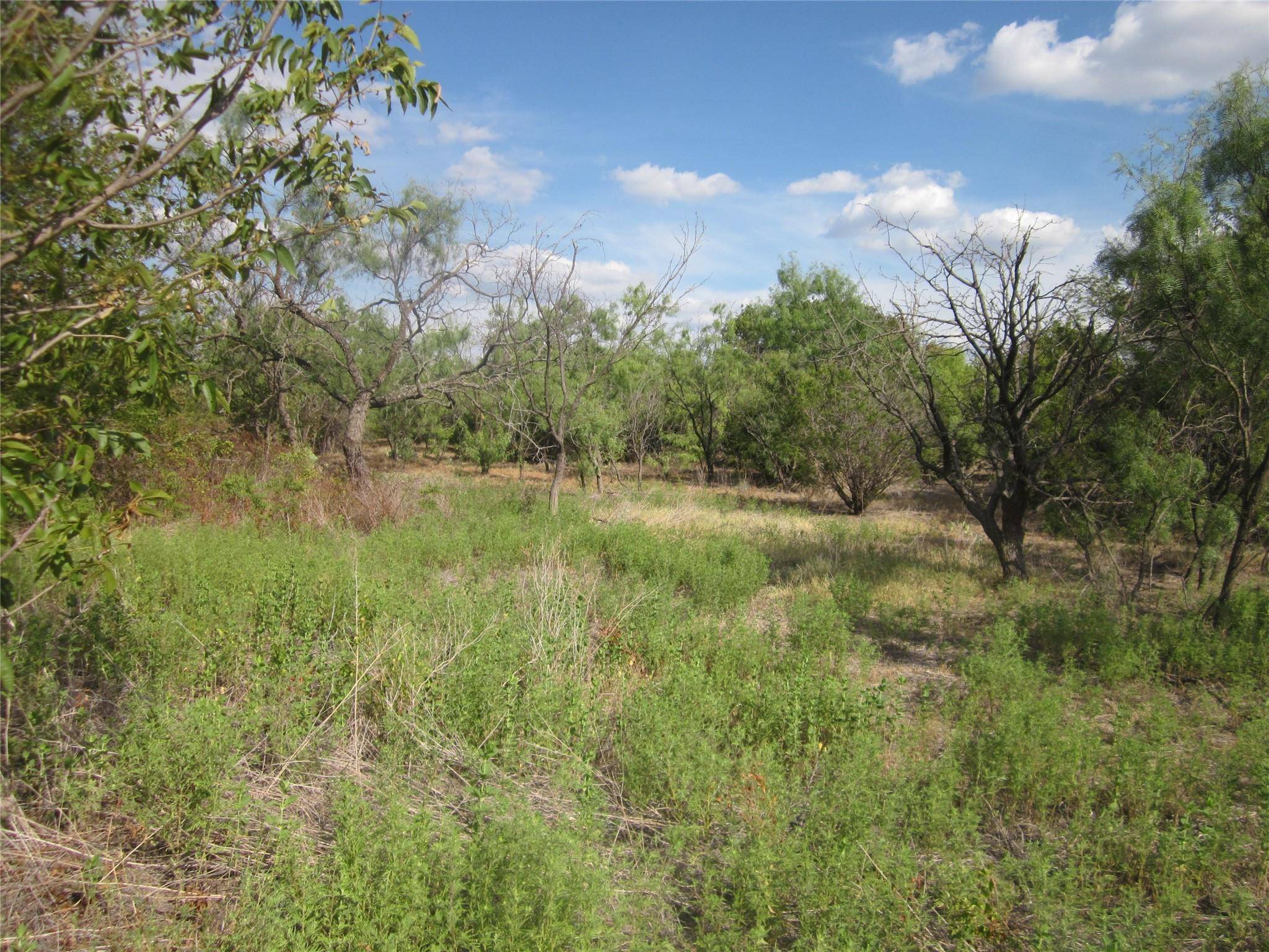 Baird, TX 79504,TBD County Rd 464