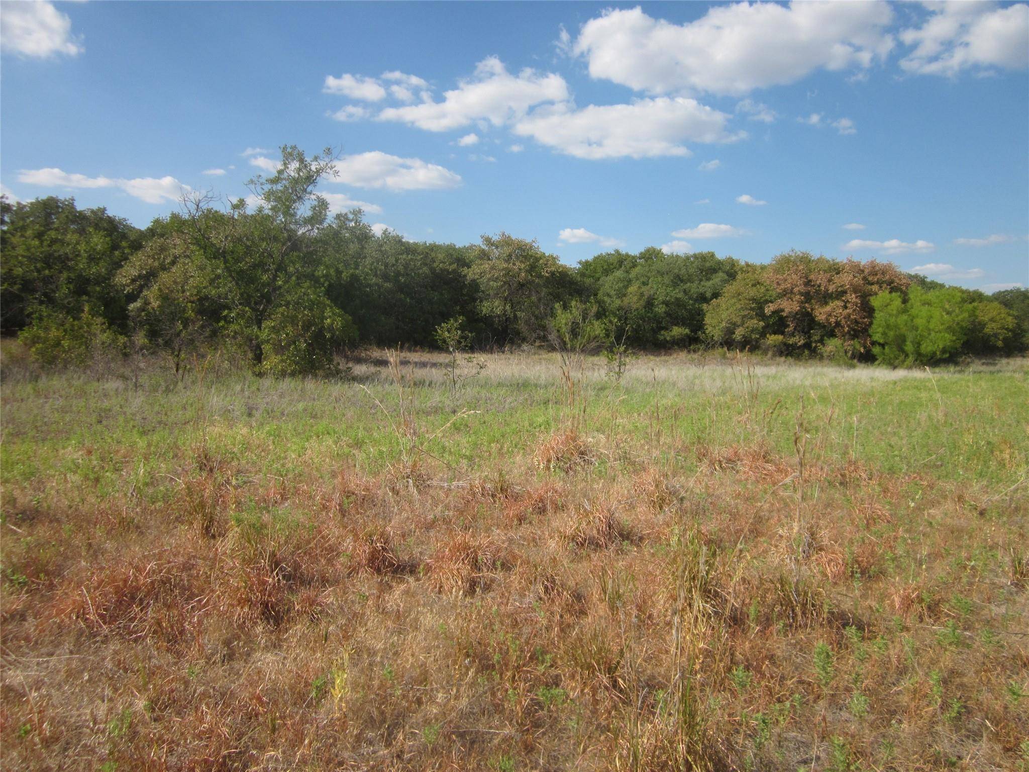 Baird, TX 79504,TBD County Rd 464