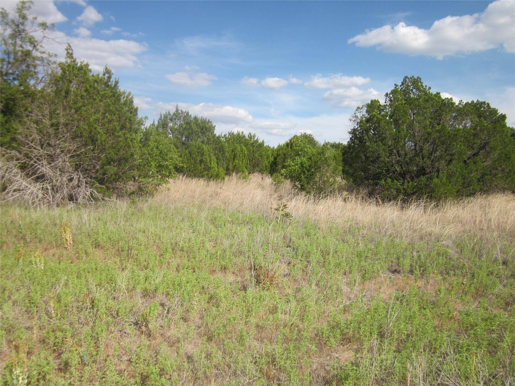 Baird, TX 79504,TBD County Rd 464