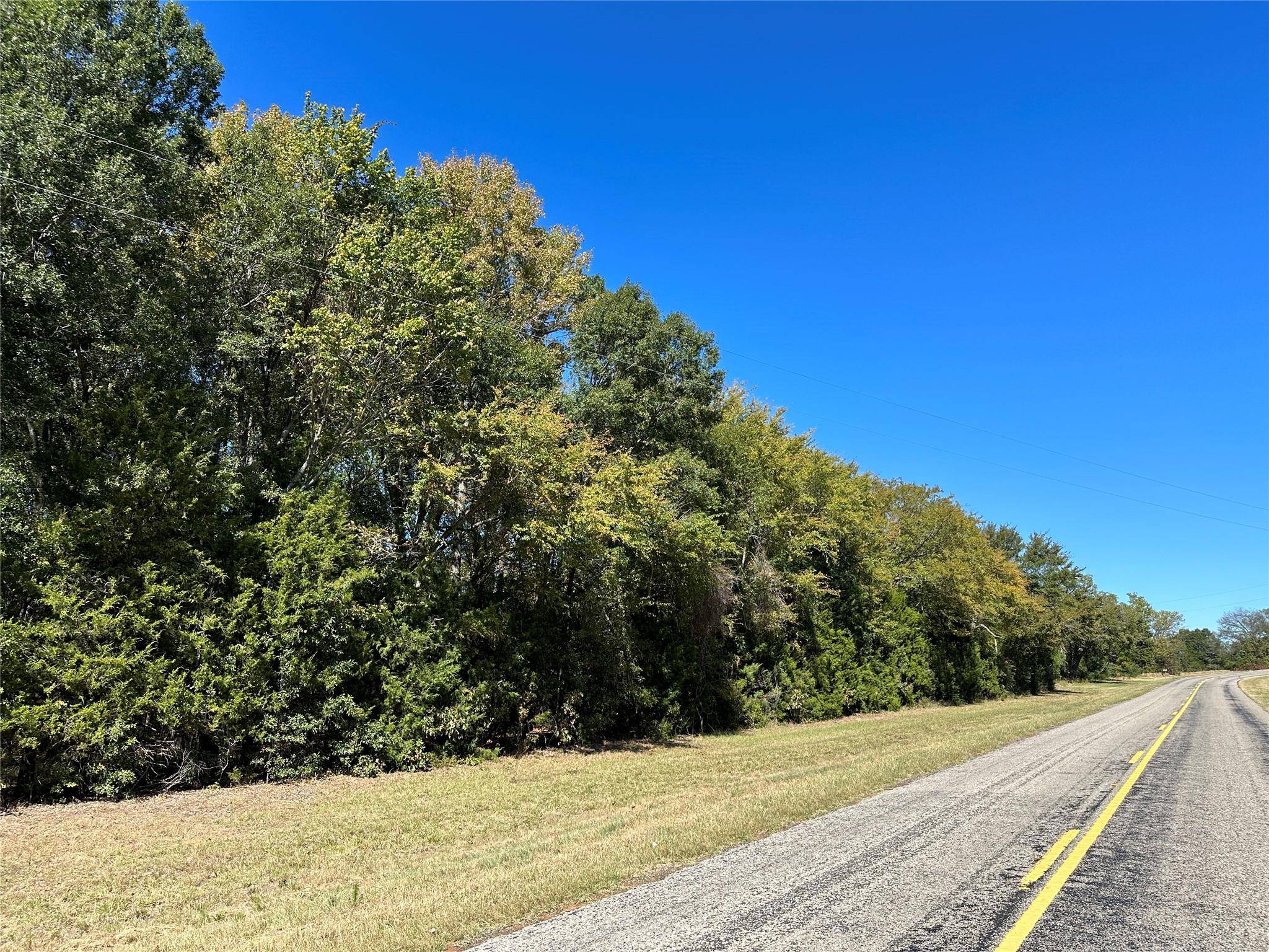 Pickton, TX 75471,8.79ac Farm Road 269 S