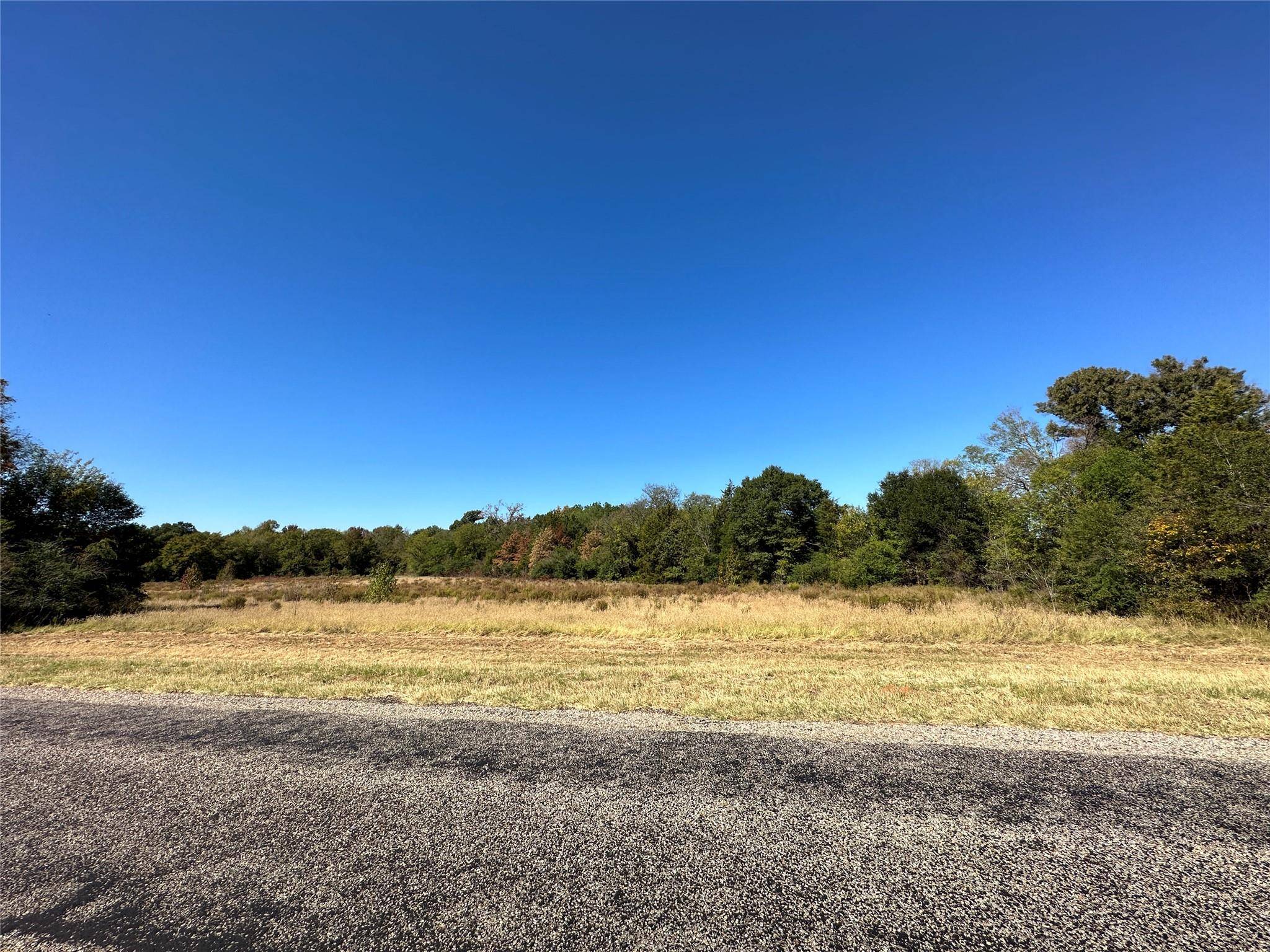 Pickton, TX 75471,8.79ac Farm Road 269 S