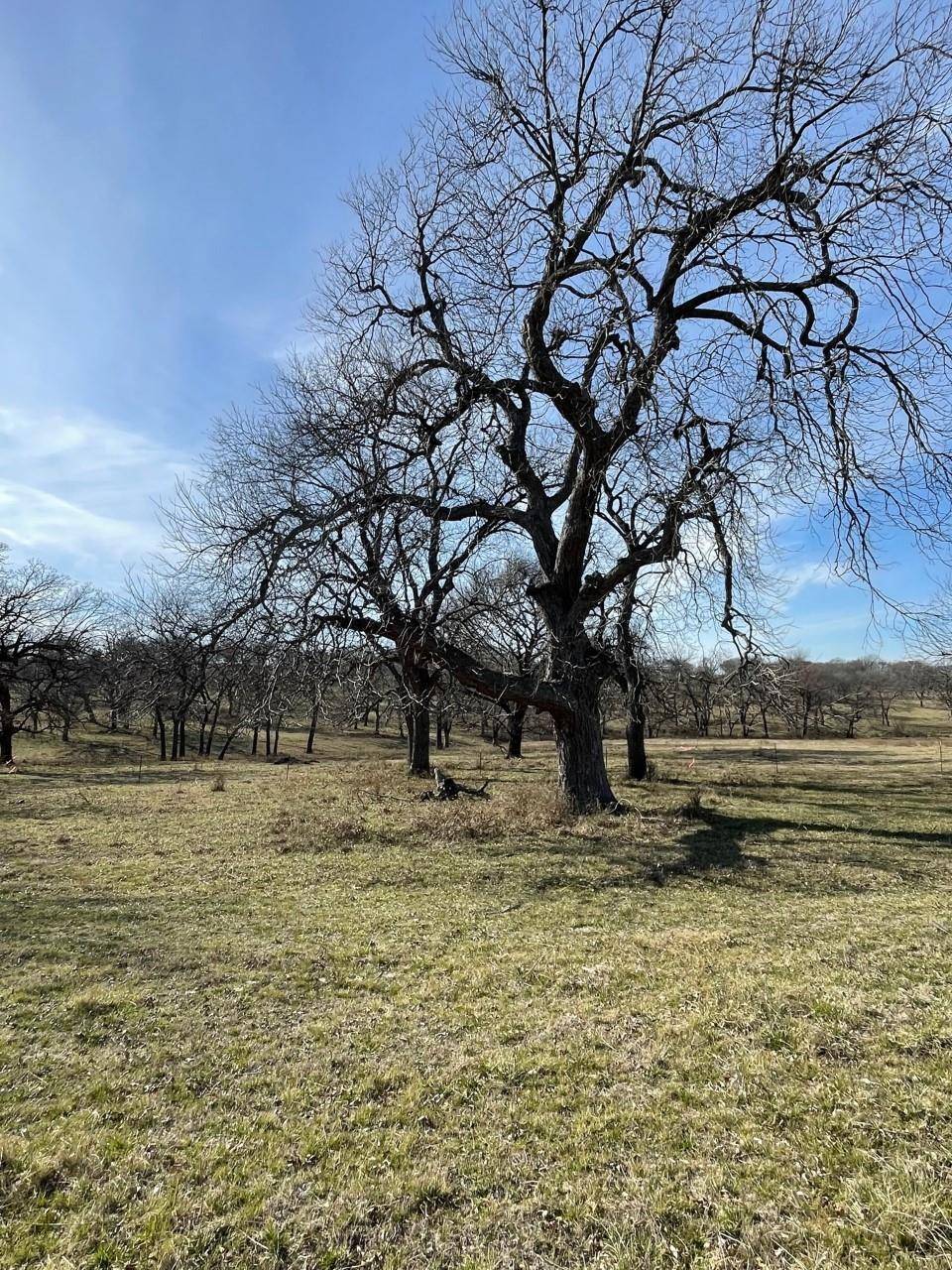 Whitewright, TX 75491,Lot 5 Kentucky Town Road