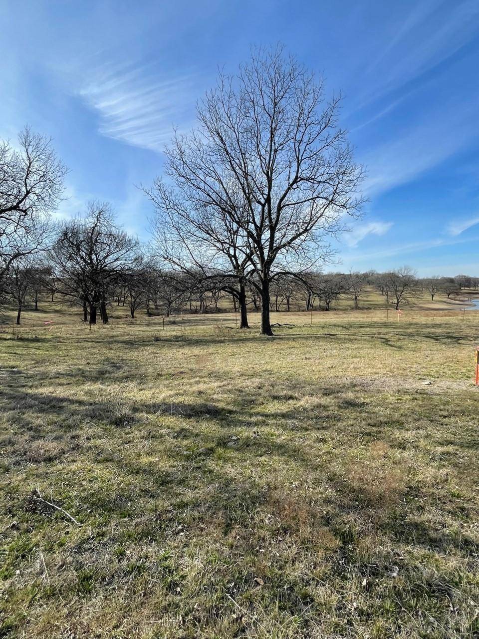 Whitewright, TX 75491,Lot 5 Kentucky Town Road