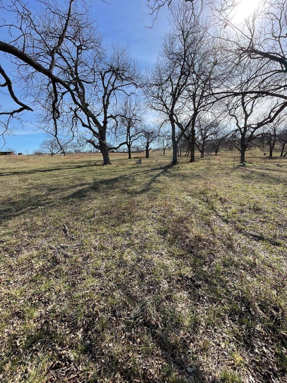 Whitewright, TX 75491,Lot 5 Kentucky Town Road